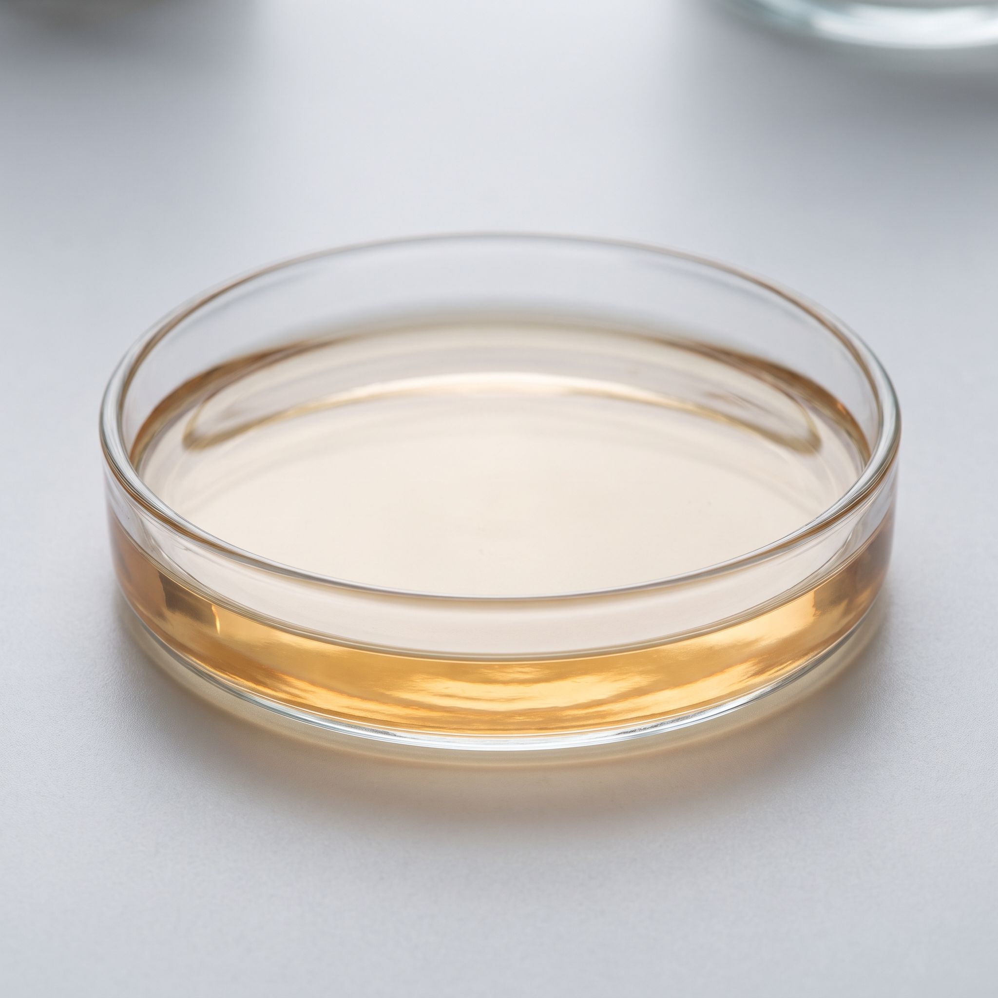 Allium Ascalonicum Extract - view 2