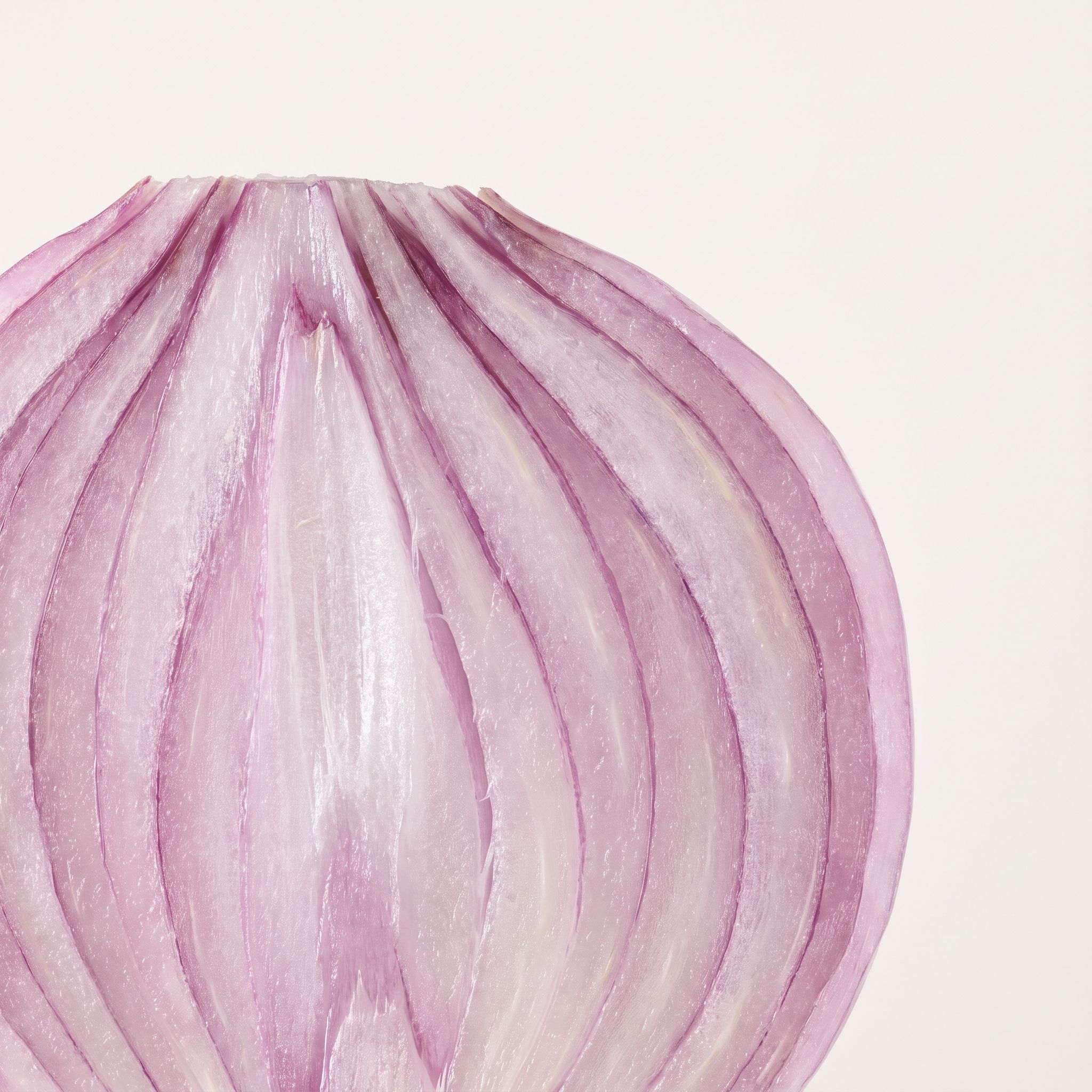 Allium Cepa Extract - view 1