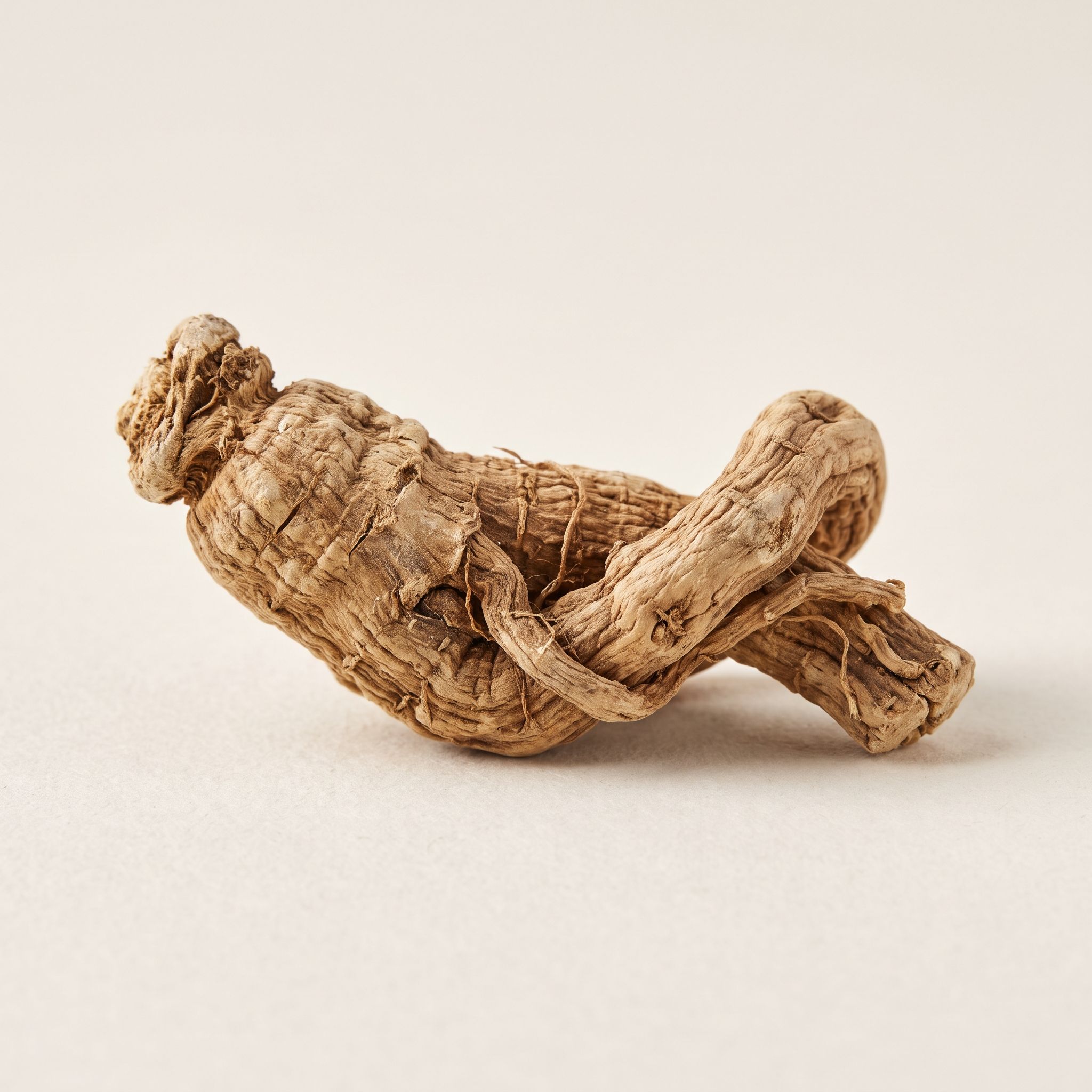 Angelica Sinensis Root Extract - view 1