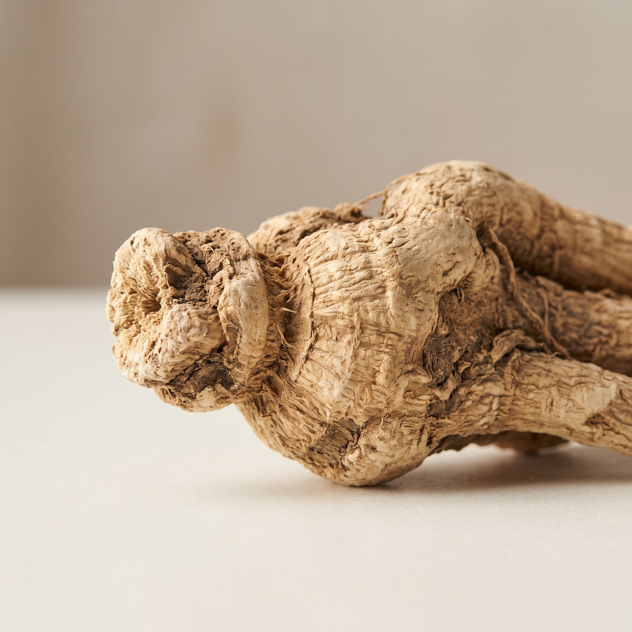 Aralia Racemosa Root Extract - view 1
