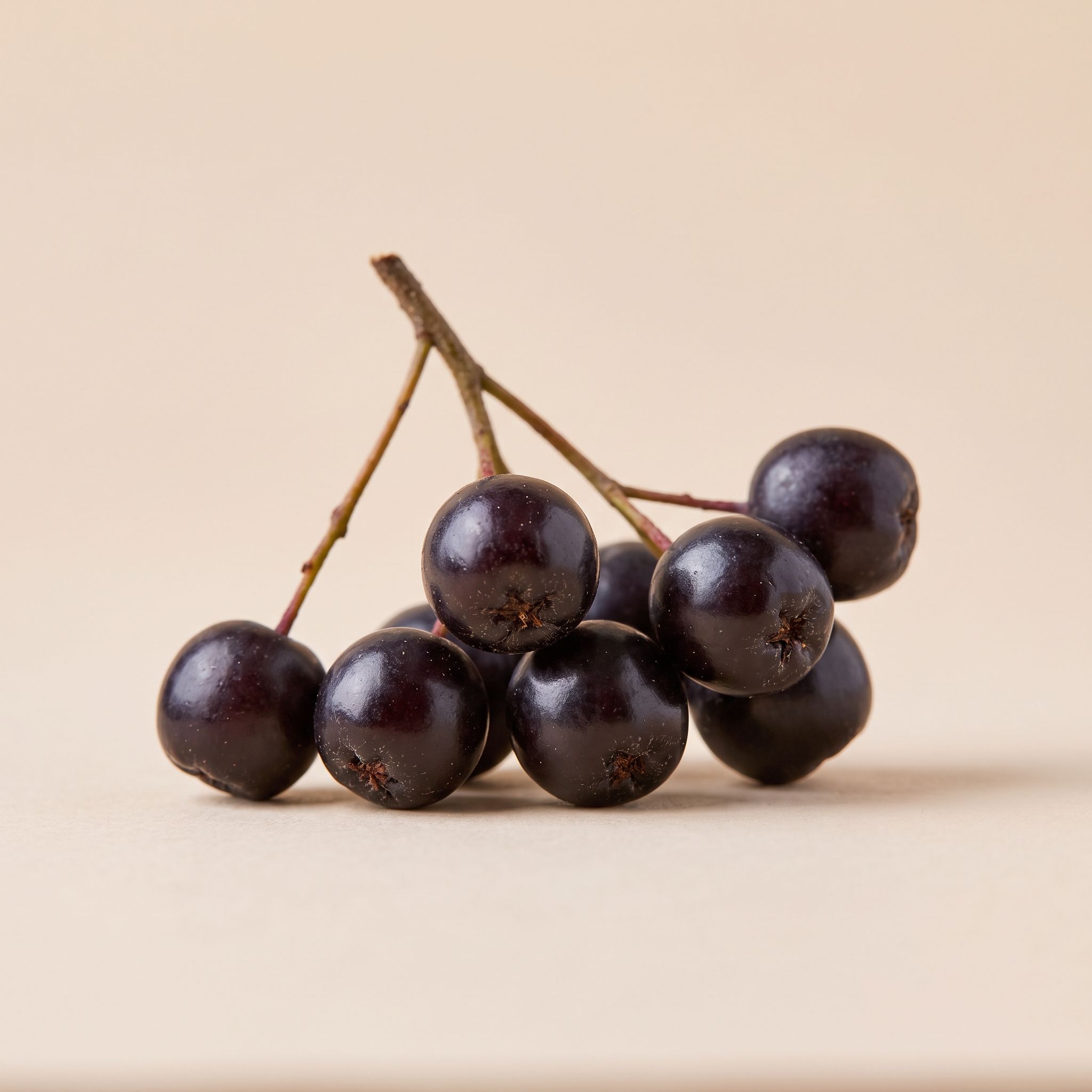 Aronia Arbutifolia Fruit Extract - view 1