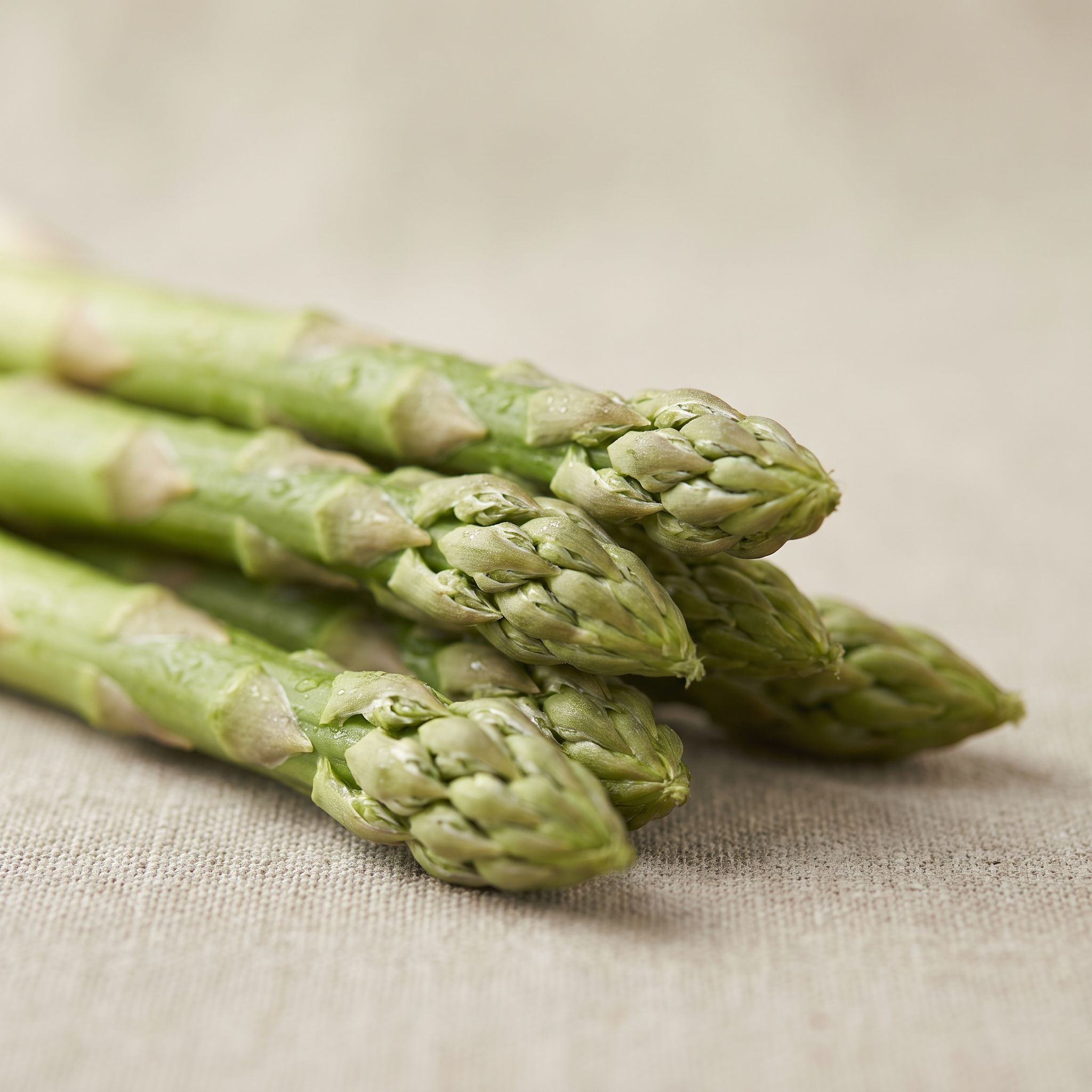 Asparagus Officinalis Stem Extract - view 1