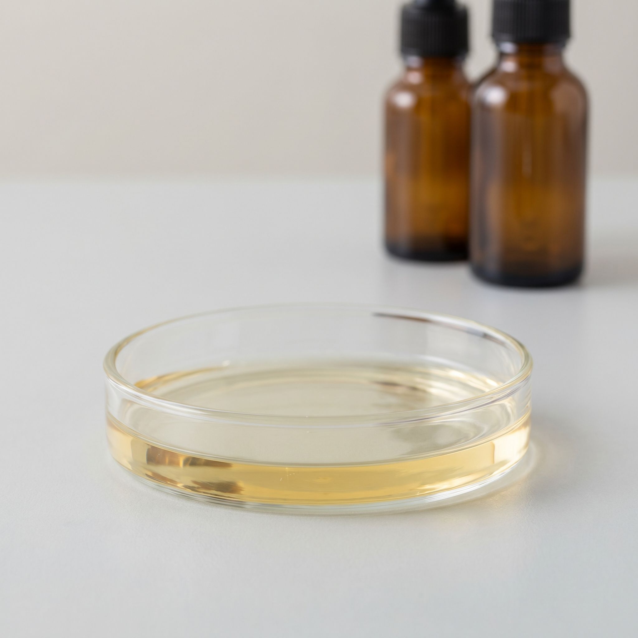 Astragalus Root Extract - view 2