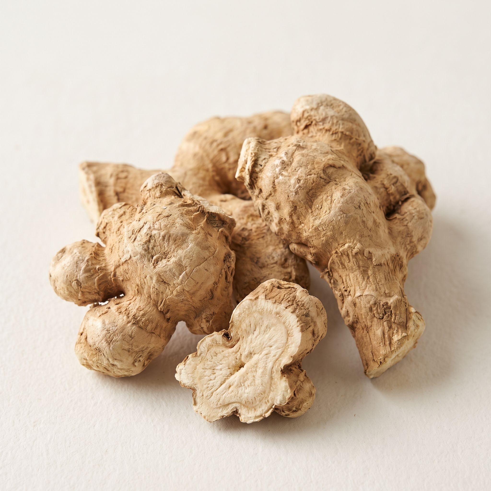 Atractylodes Macrocephala Root Extract - view 1