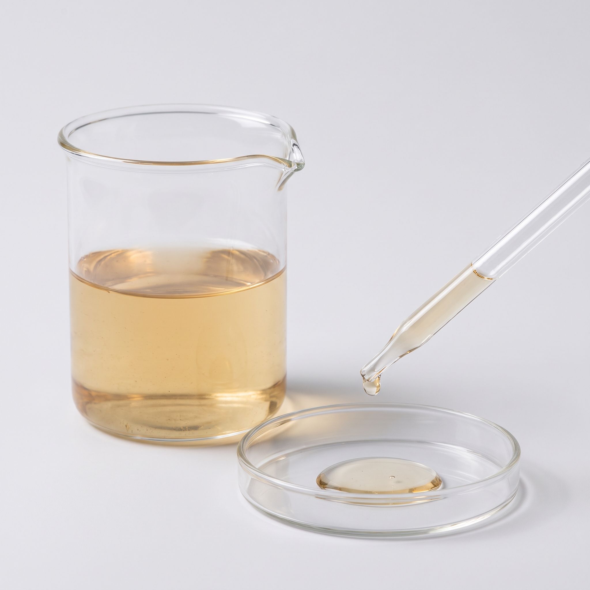 Baccharis Gaudichaudiana Leaf/Stem Extract - view 2