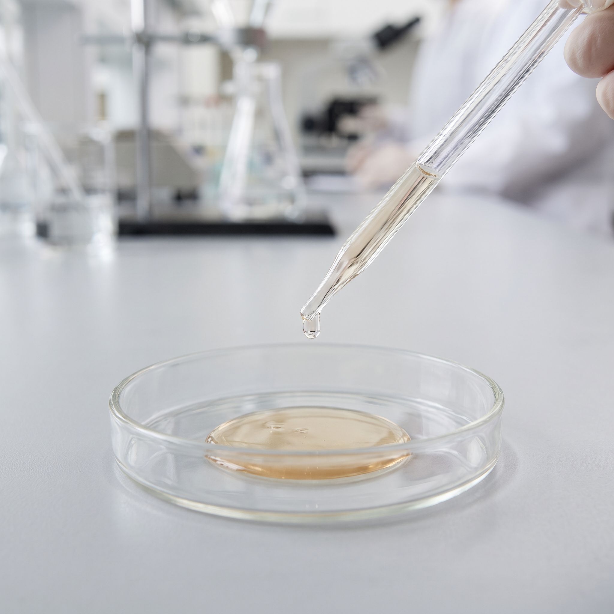 Barosma Betulina Leaf Extract - view 2