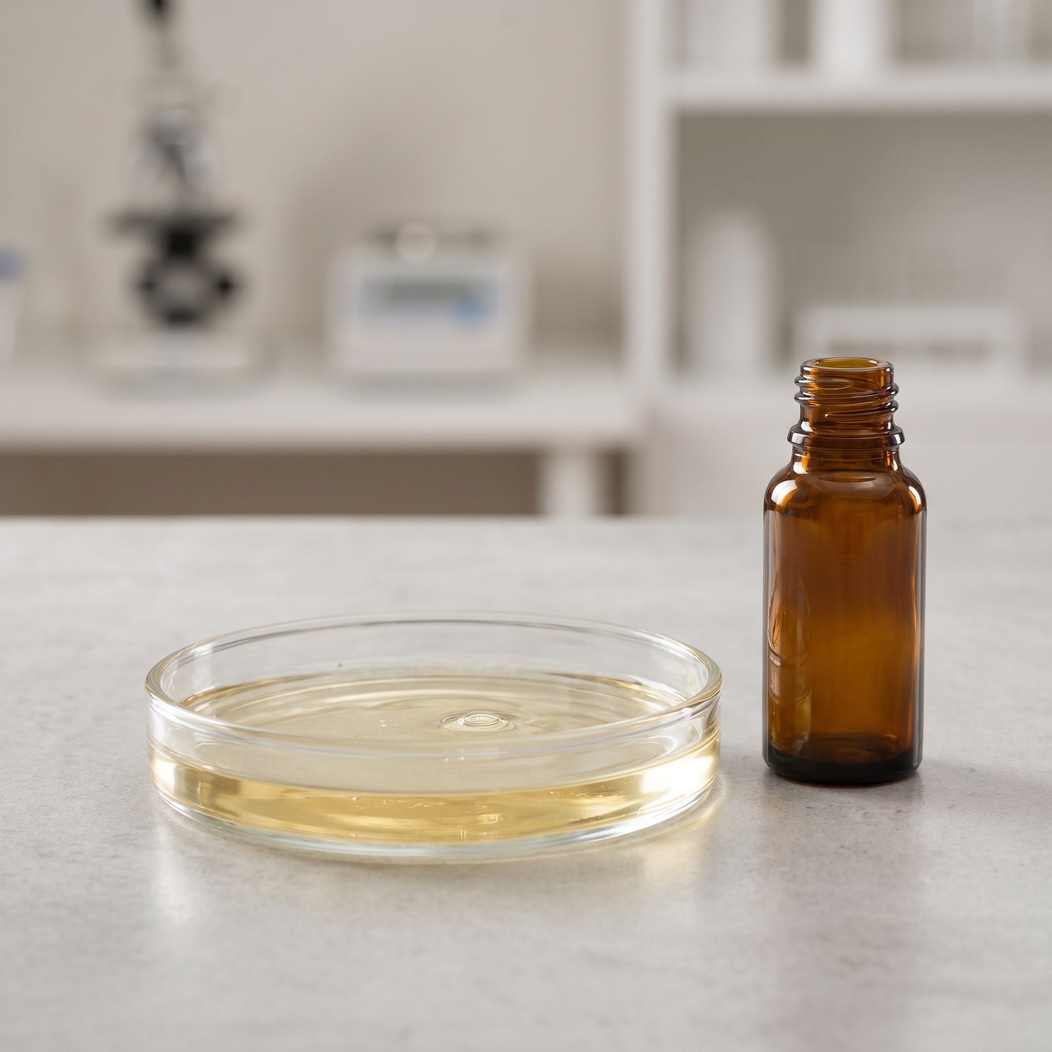 Camellia japonica Extract - view 2