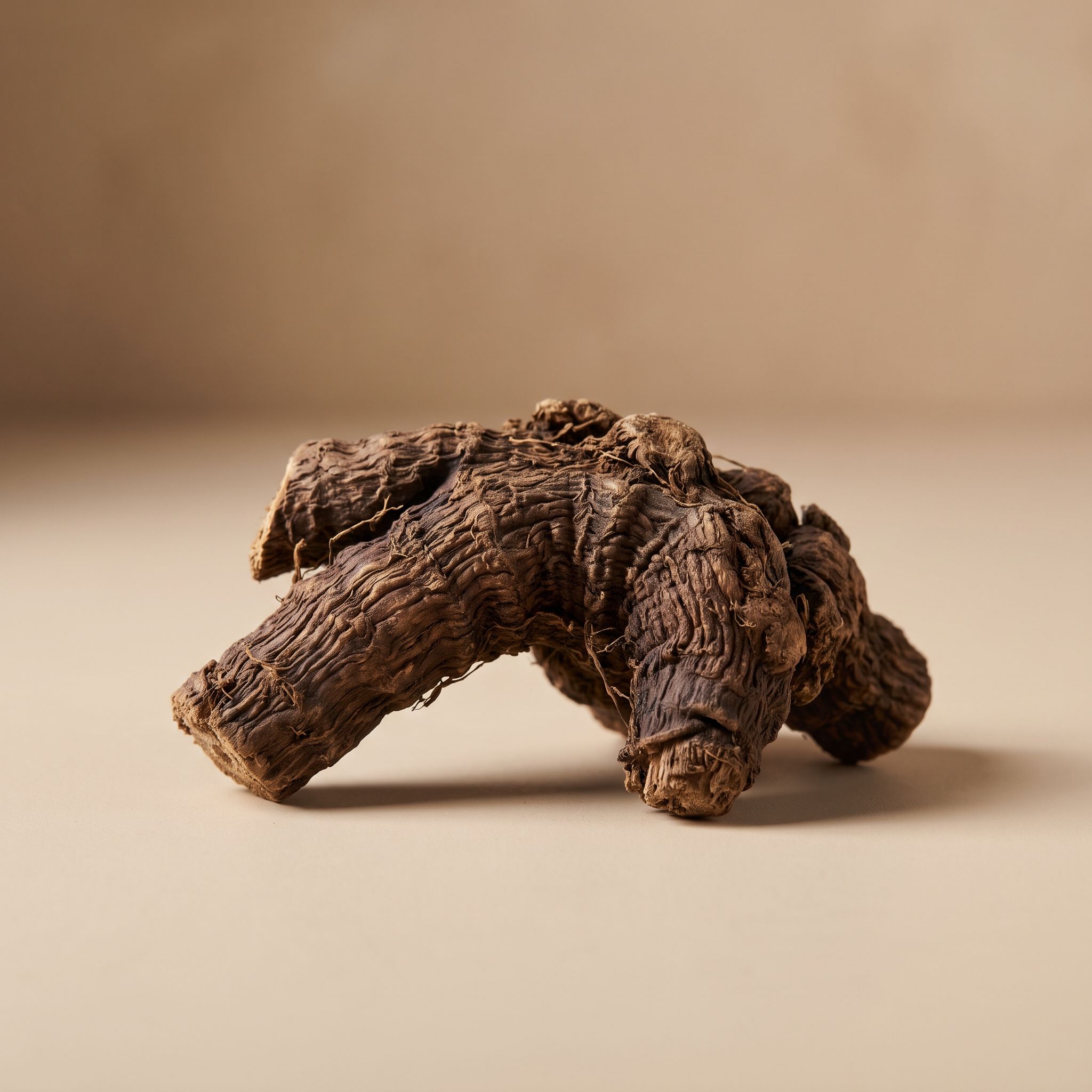 Caulophyllum Thalictroides Root Extract - view 1
