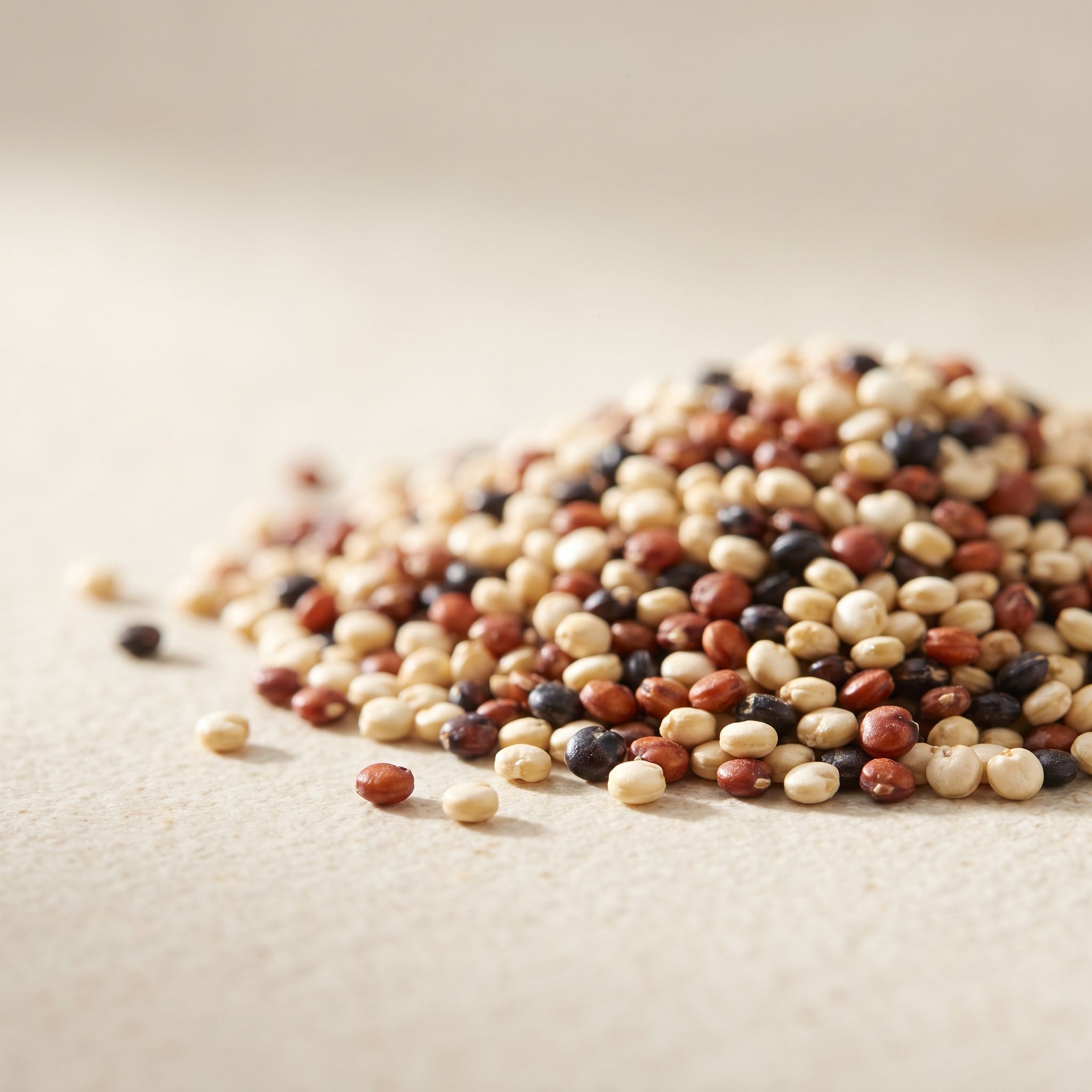 Chenopodium Quinoa Extract - view 1