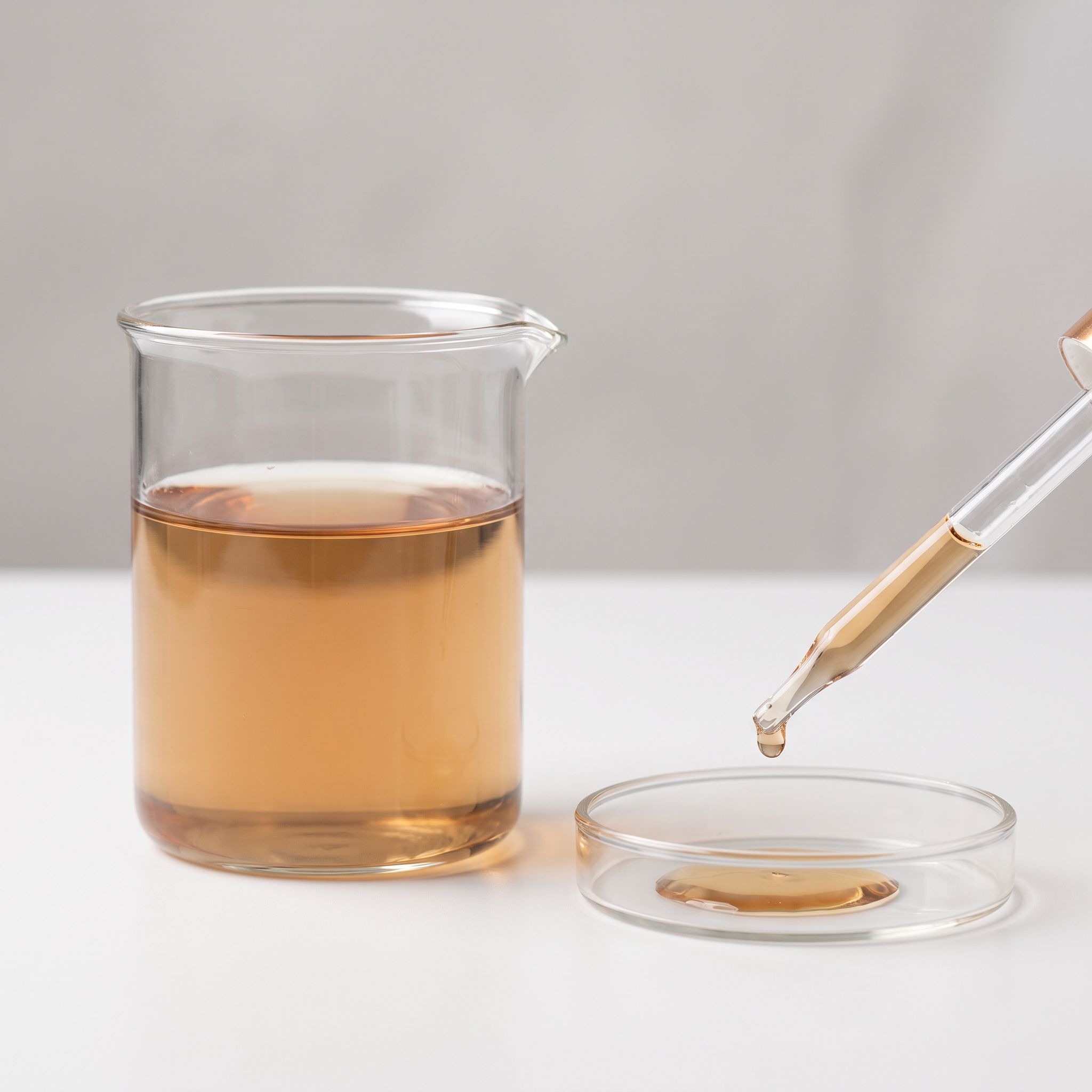 Cissus Quadrangularis Stem Extract - view 2