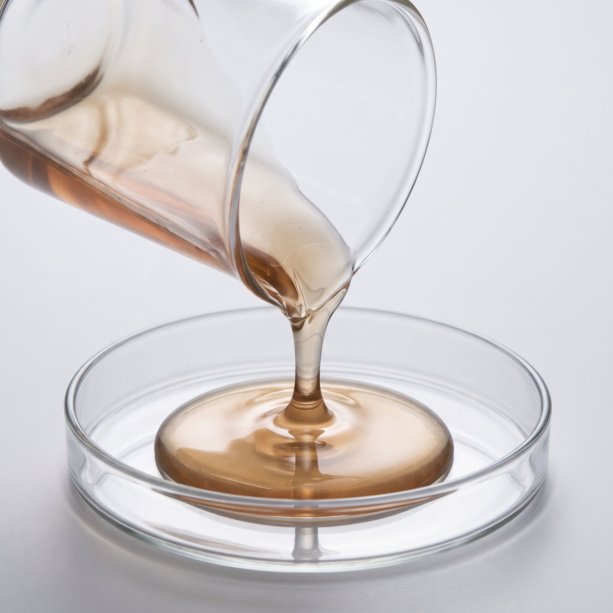 Codonopsis Pilosula Root Extract - view 2