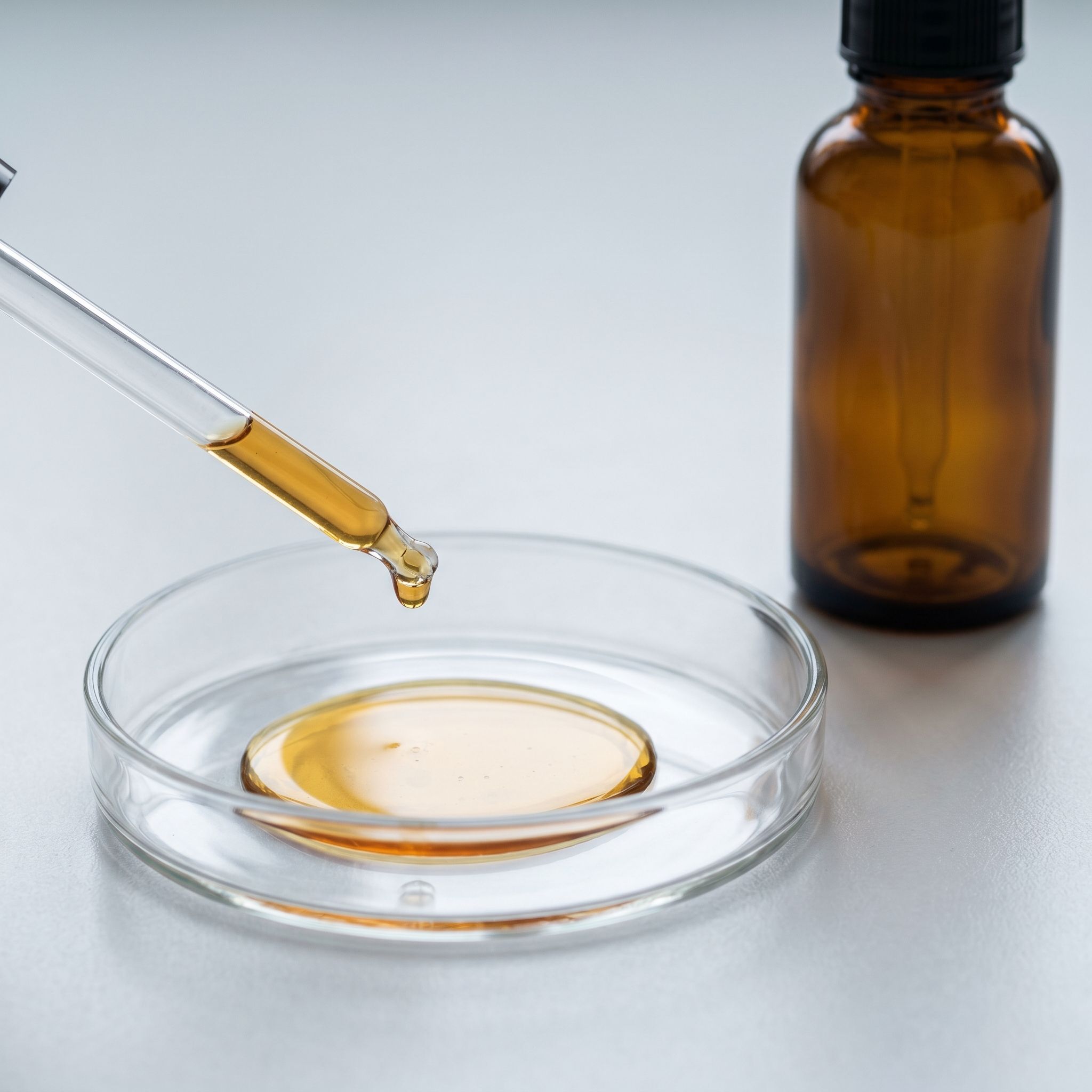 Coffee Seed Extract - view 2