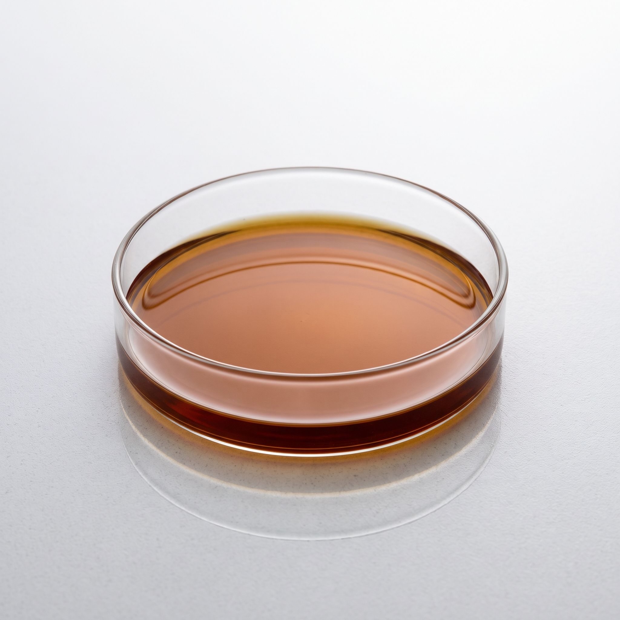 Cola Nitilda Seed Extract - view 2