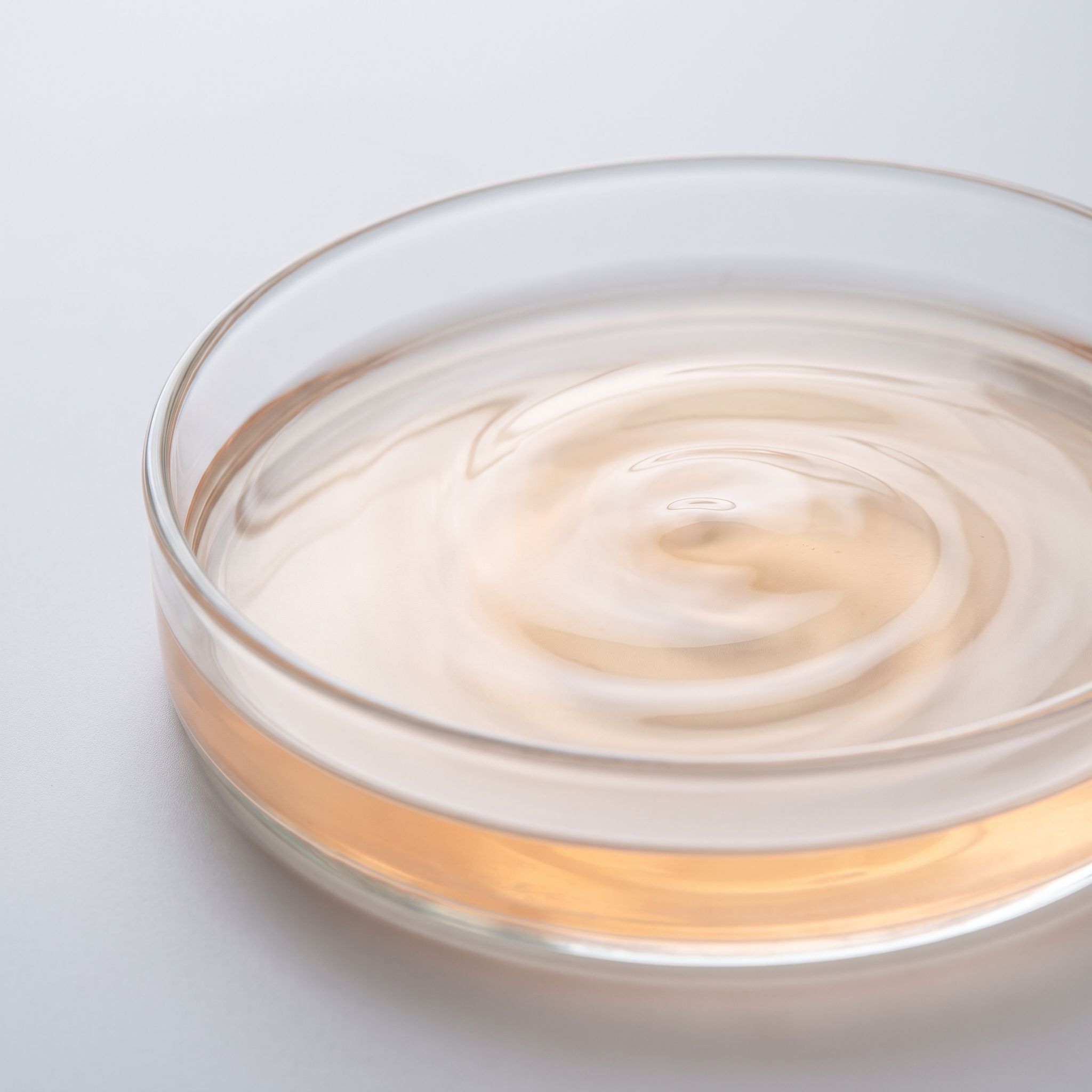 Cucumis Melo Fruit Extract - view 2