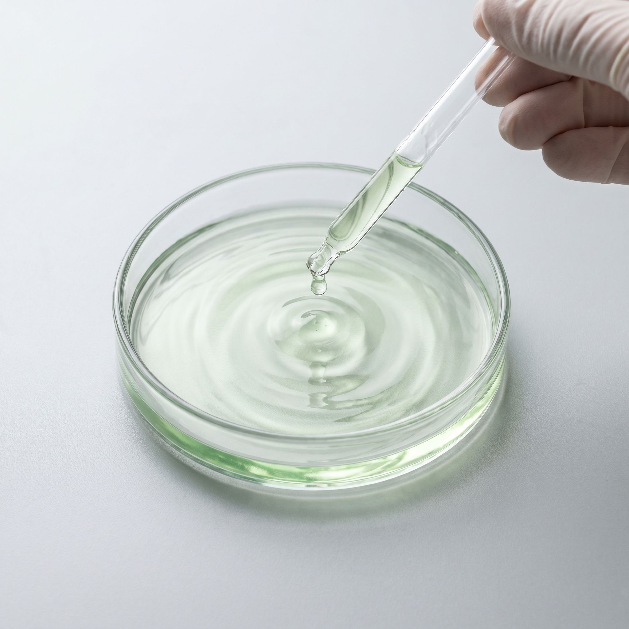 Cucumber Extract - view 2