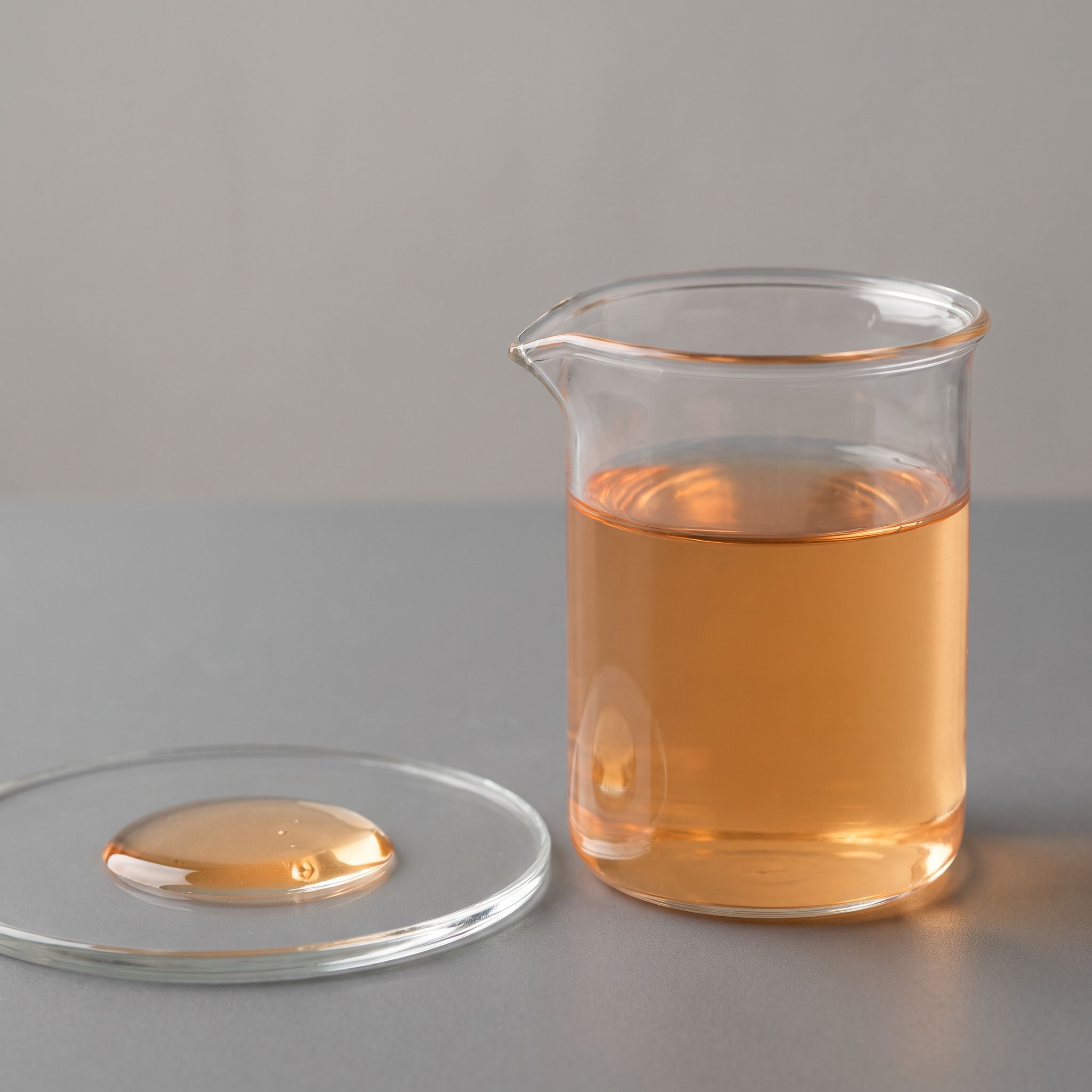 Daucus Carota Extract - view 2