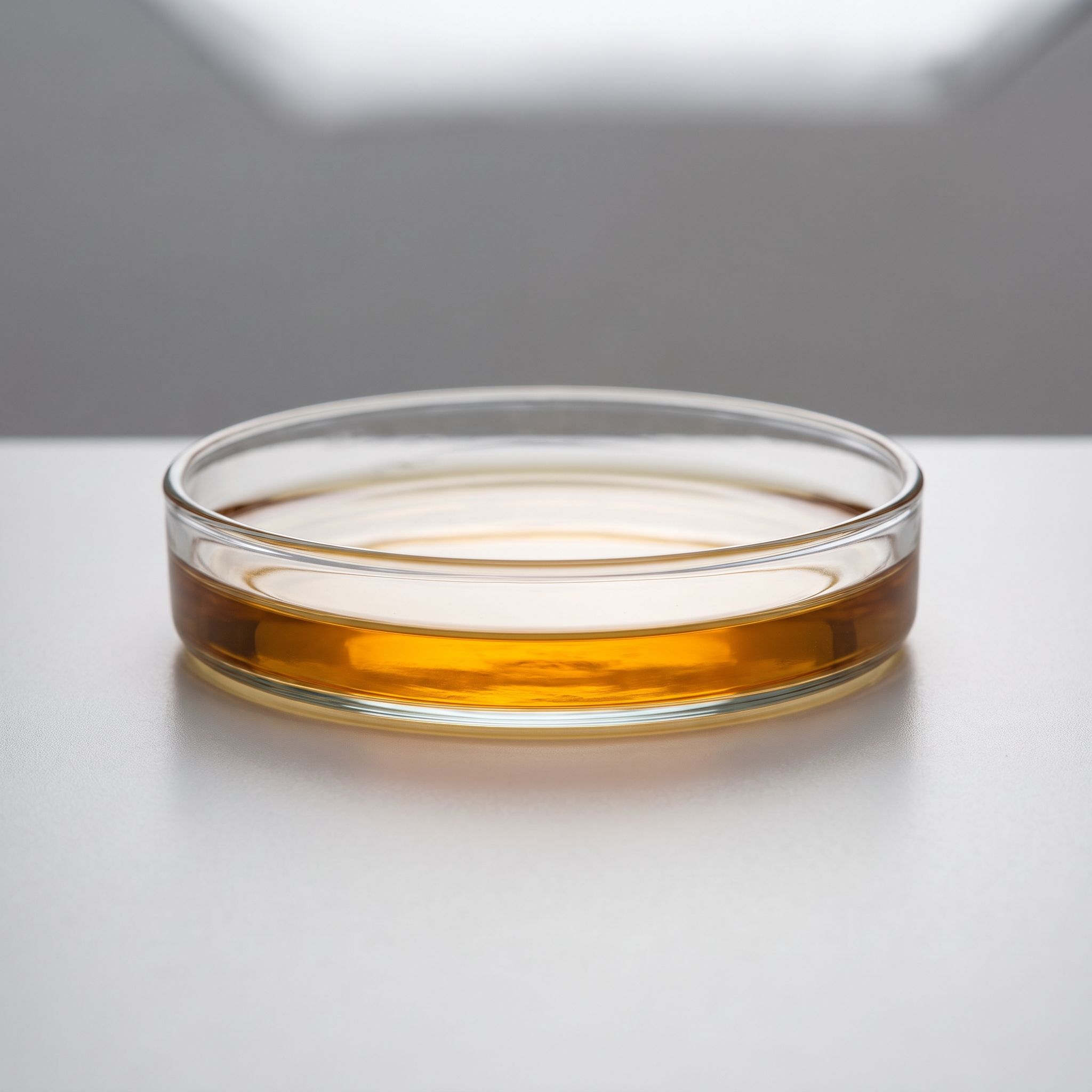 Echinacea Angustifolia Herb Extract - view 2