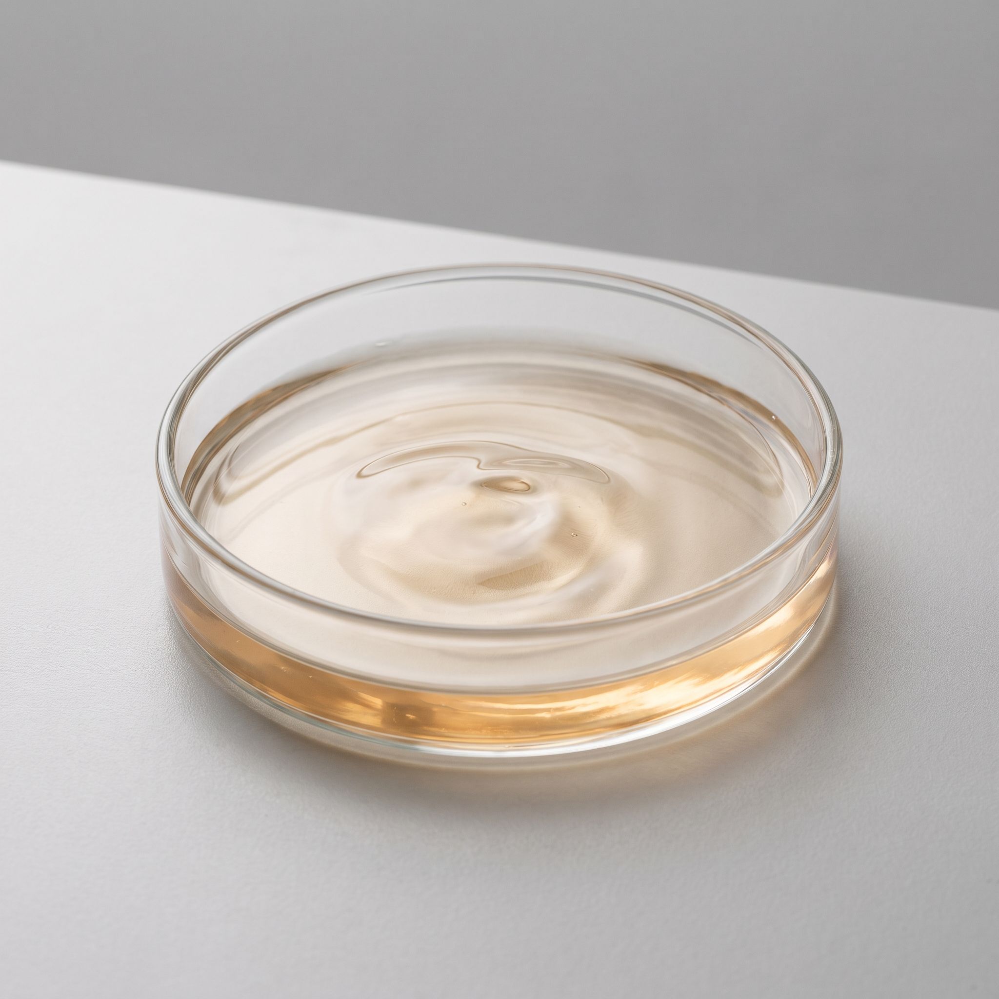 Elytrugua Repens Root Extract - view 2