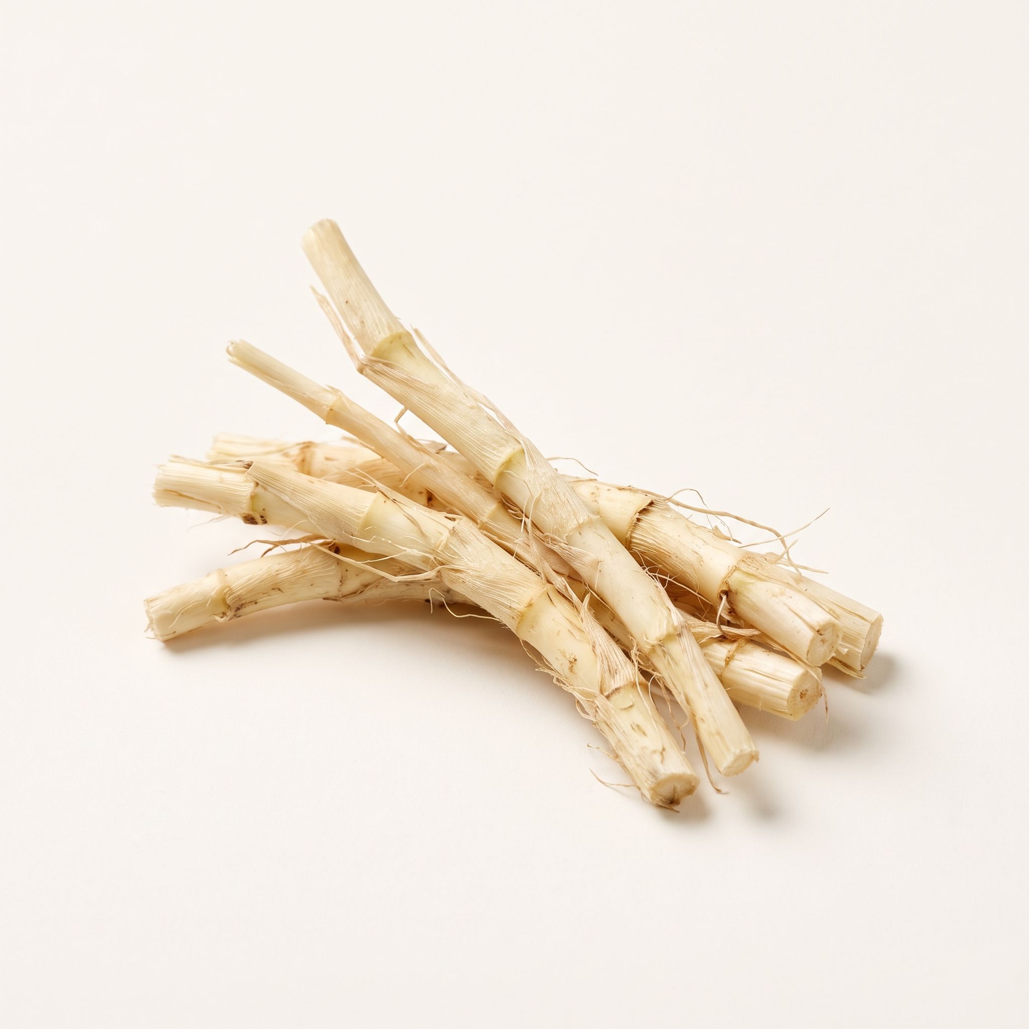 Elytrugua Repens Root Extract - view 1
