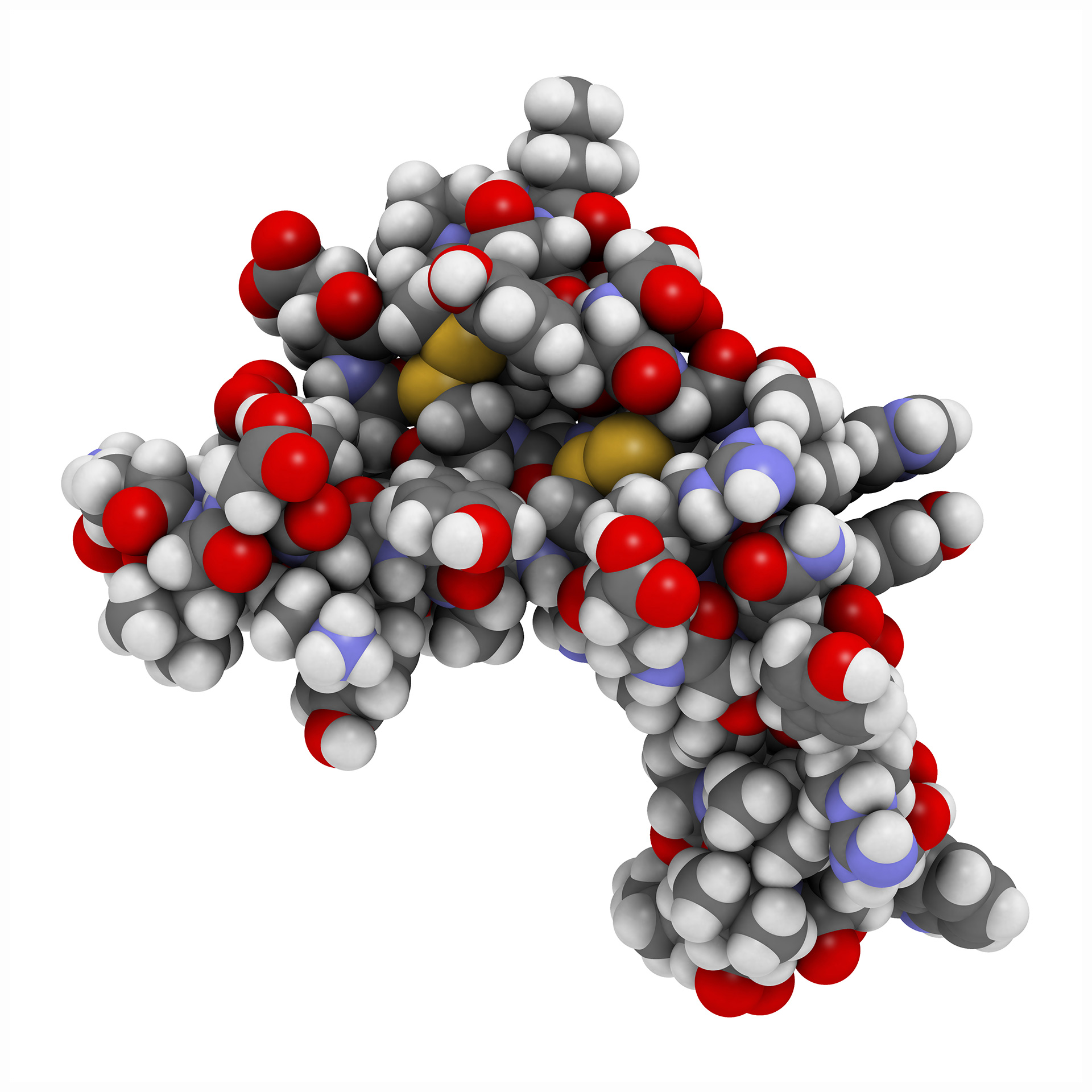 Epidermal Growth Factor - view 2