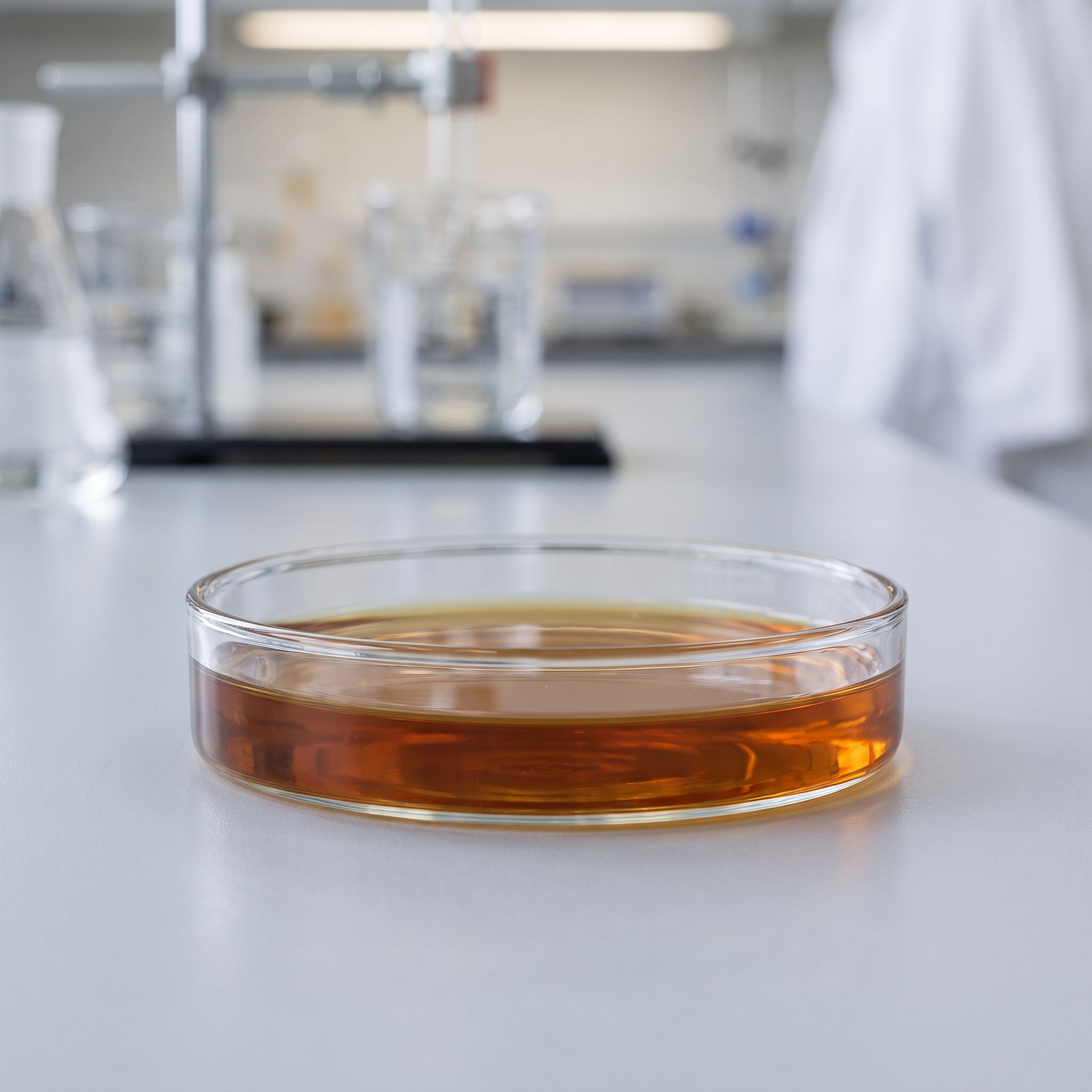 Eucommia Ulmoides Bark Extract - view 2