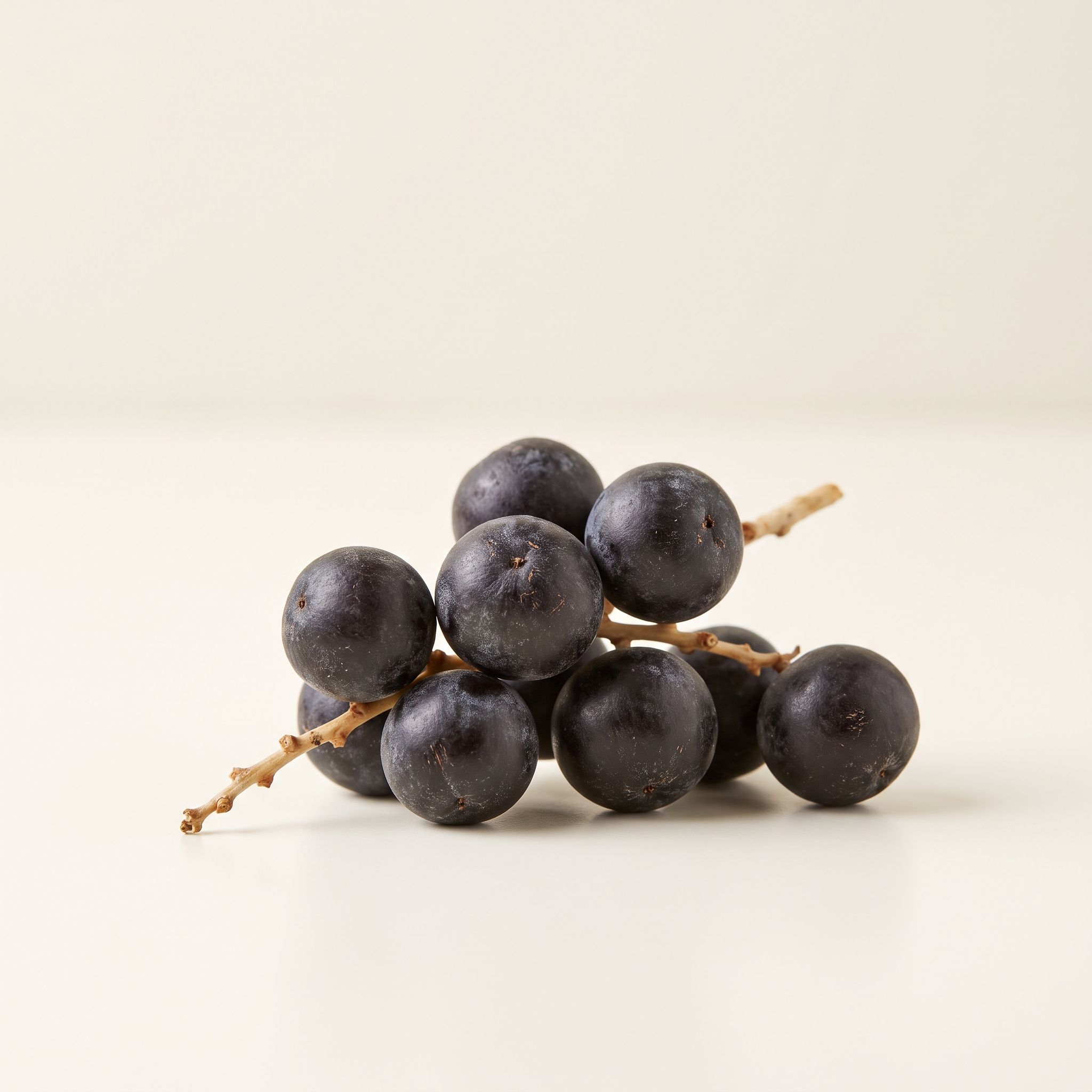 Euterpe Oleracea Fruit Extract - view 1
