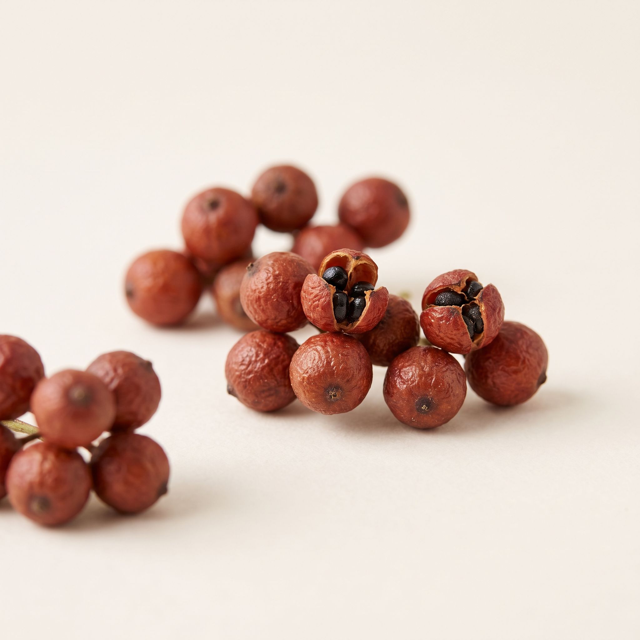 Evodia Rutaecarpa Fruit Extract - view 1