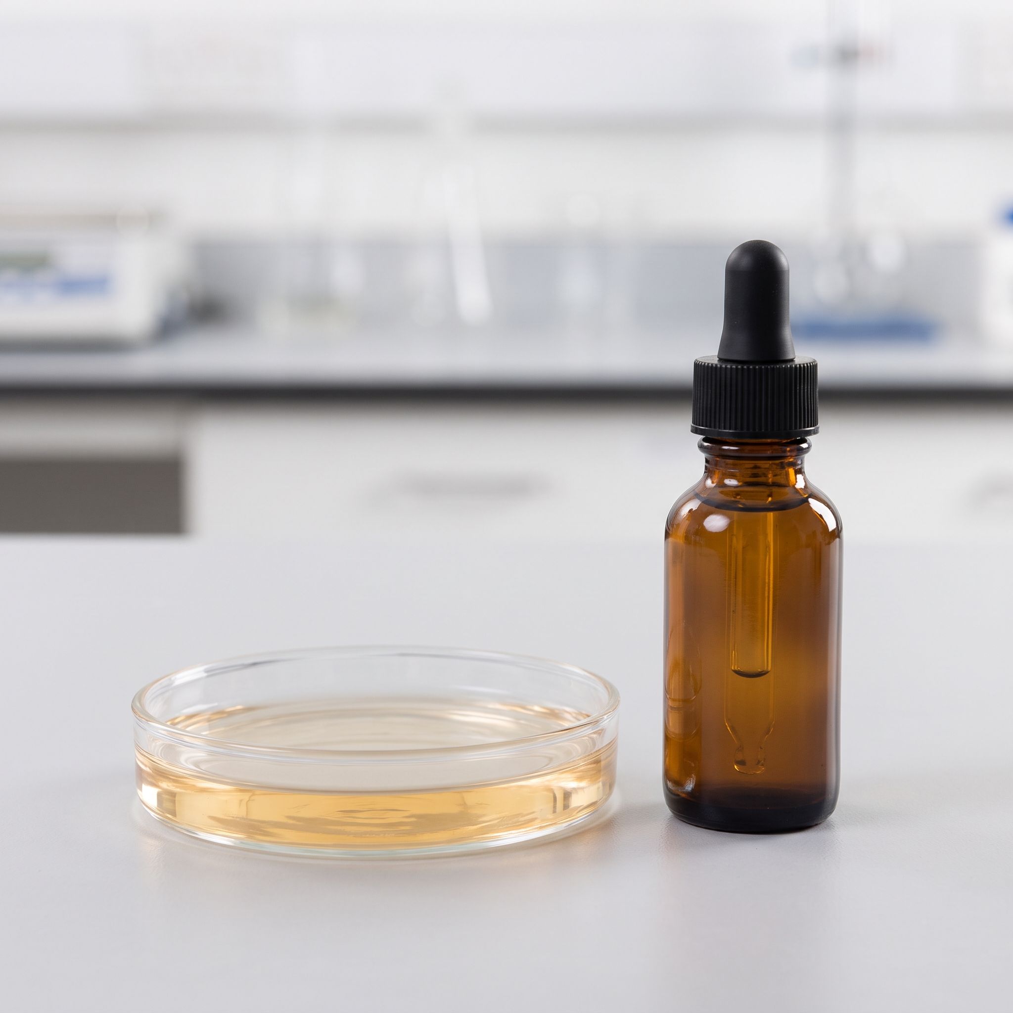 Fagopyrum Esclentum Seed Extract - view 2