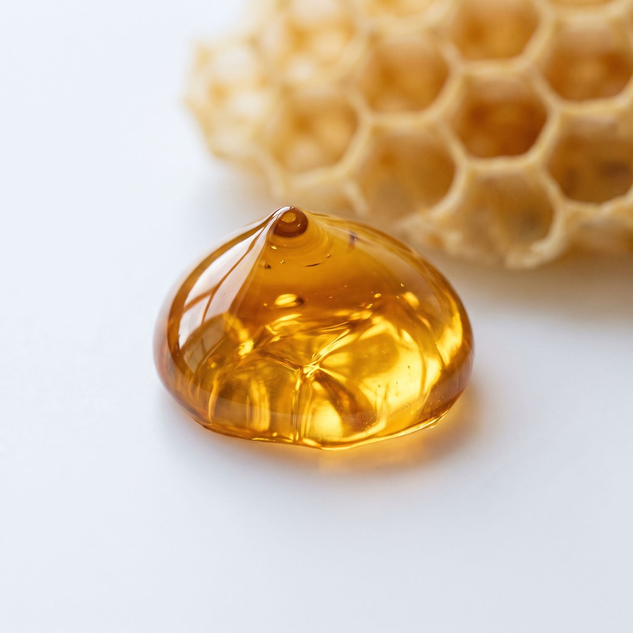 Honey Powder Extract - view 1
