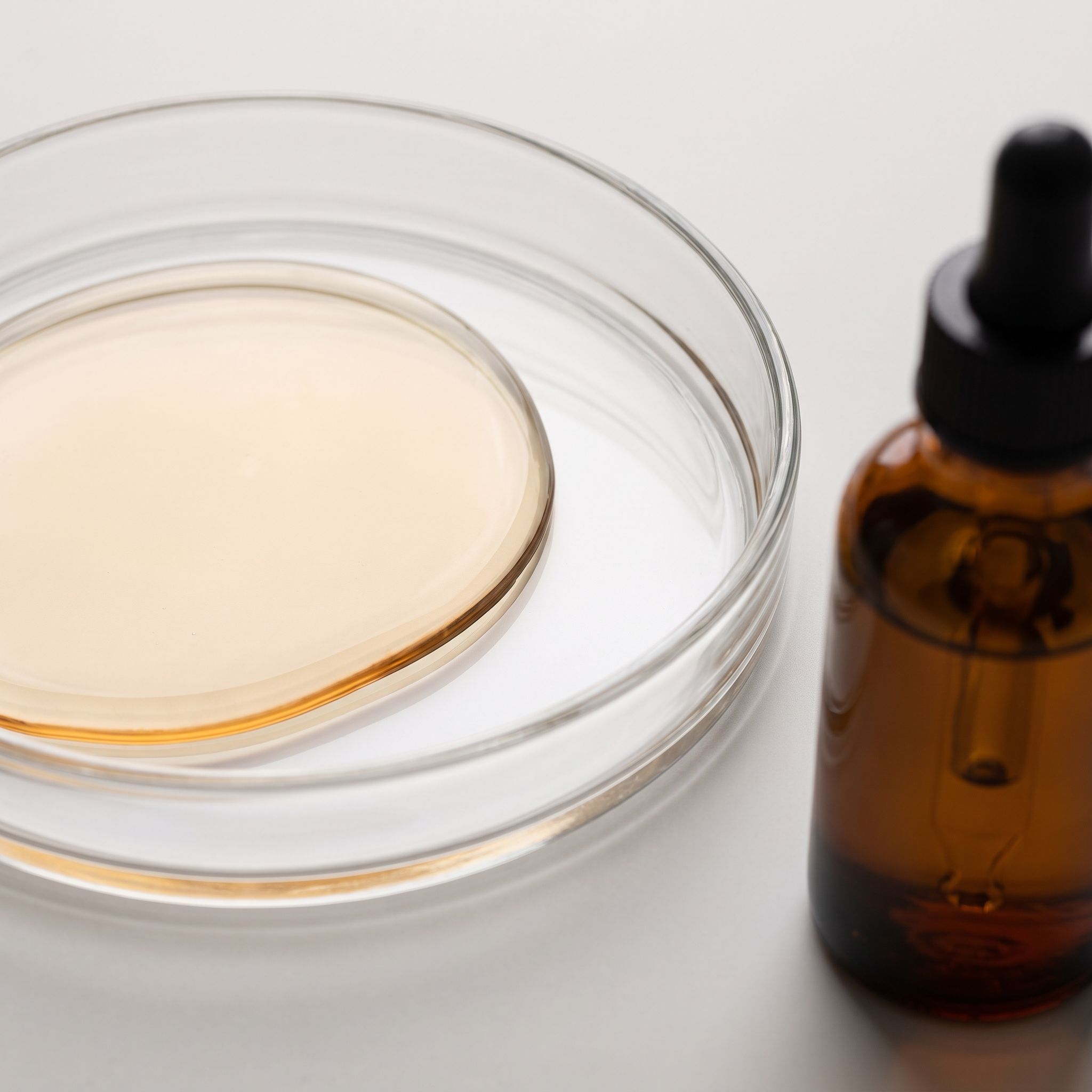 Huperzia Serrata Leaf Extract - view 2
