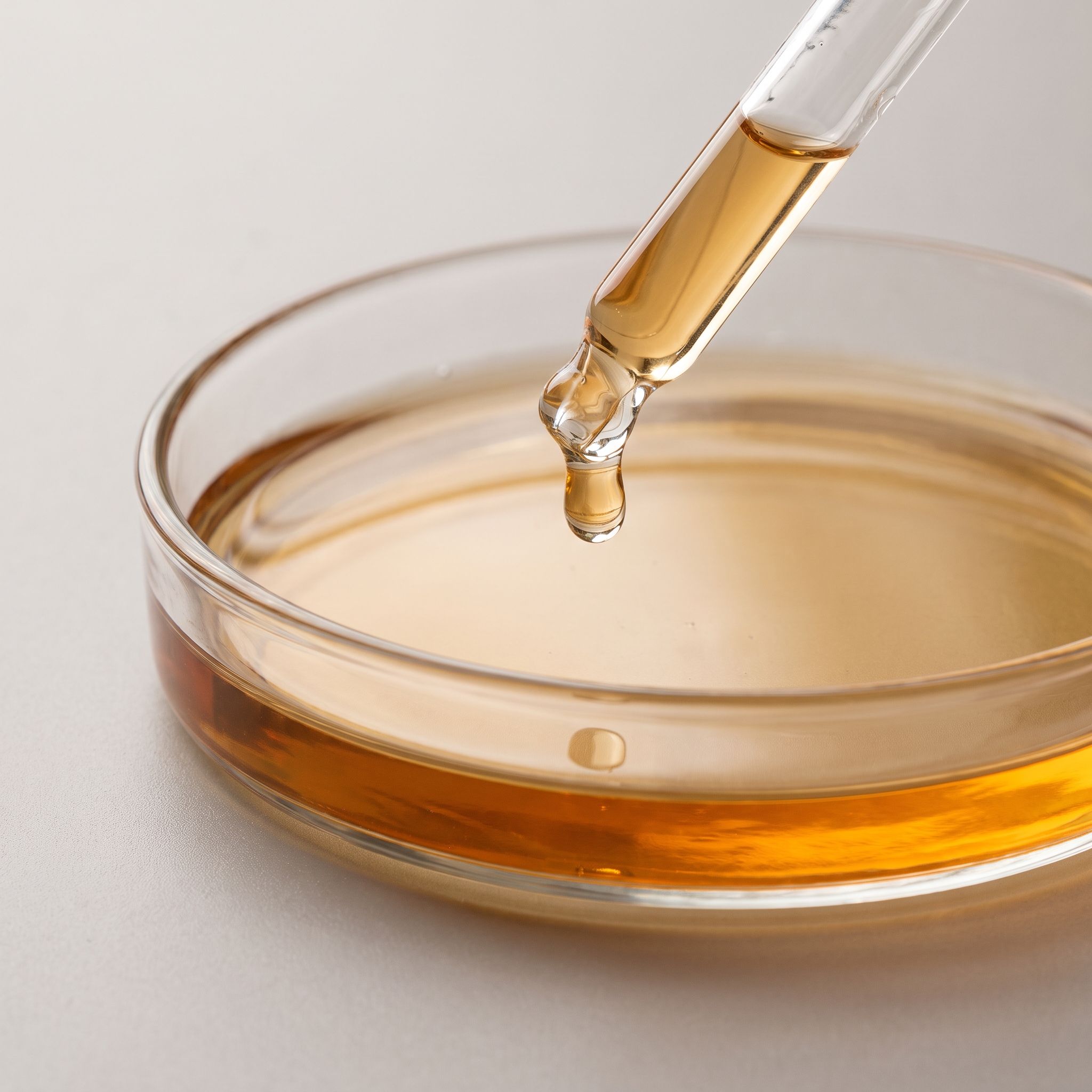 Ilex Guayusa Leaf Extract - view 2