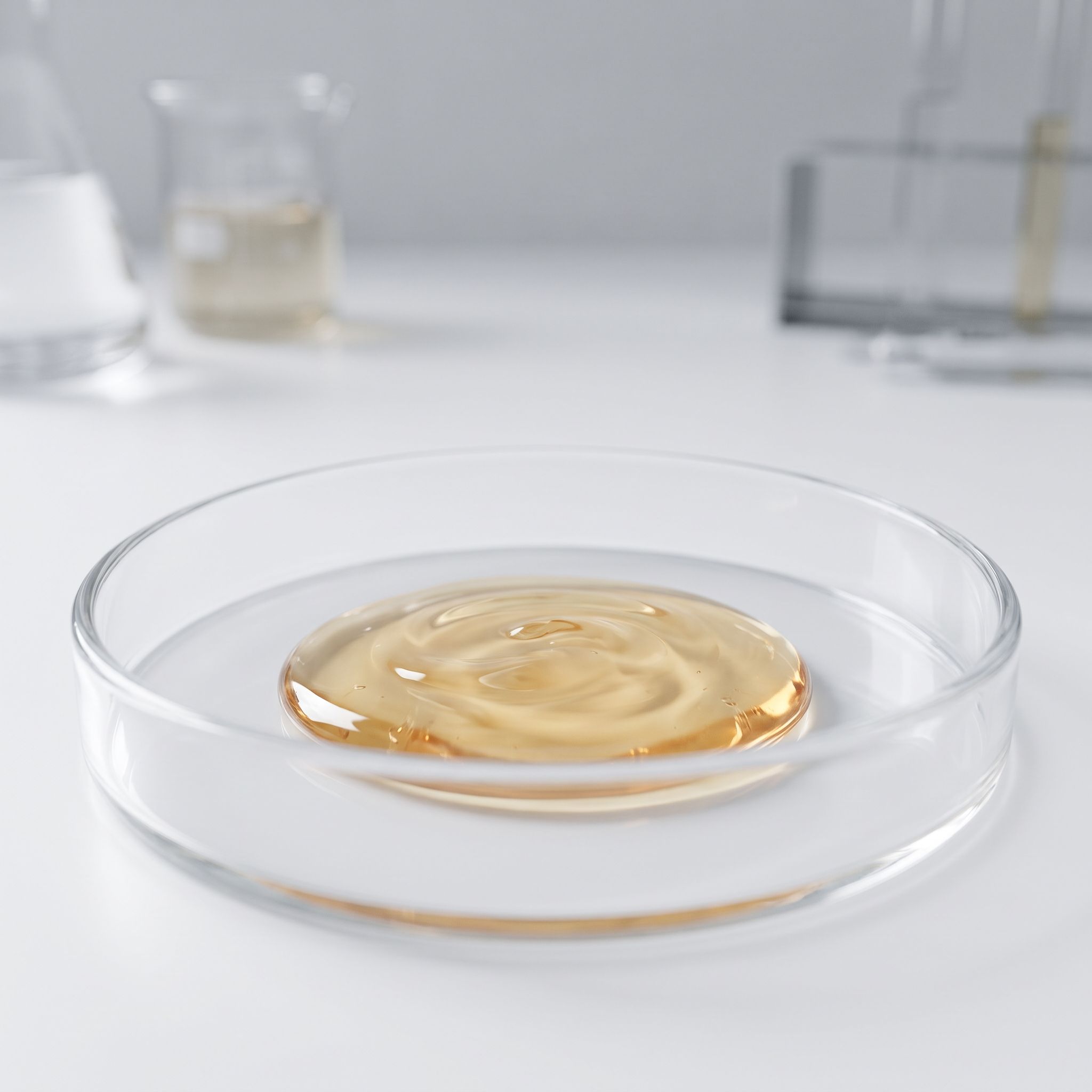 Irvingia Gabonensis Seed Extract - view 2