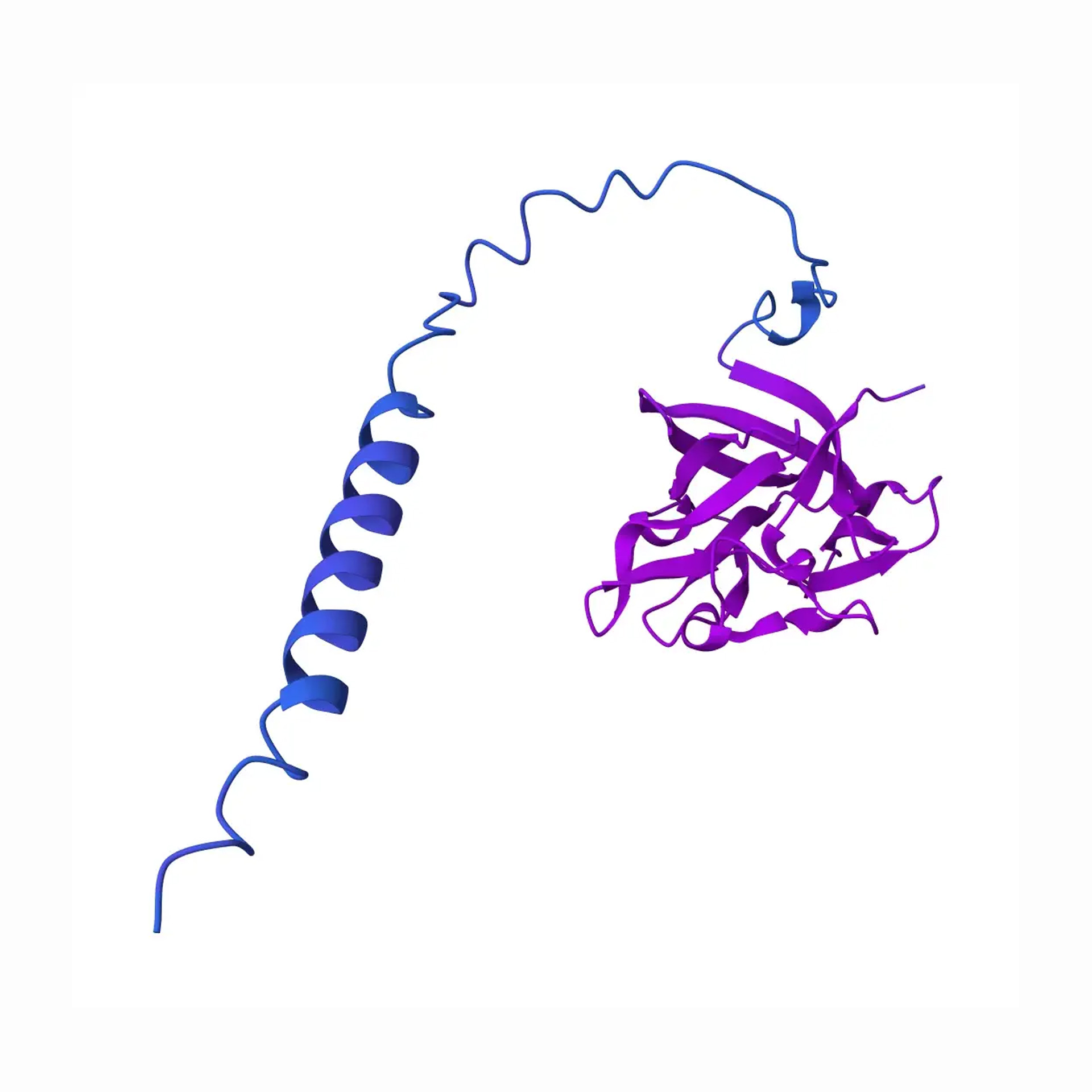 Keratinocyte Growth Factor - view 2