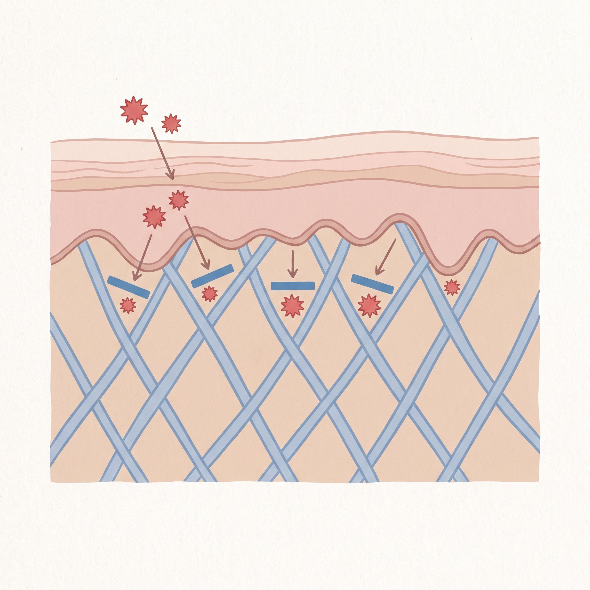 Laminara Digitata Extract - view 3