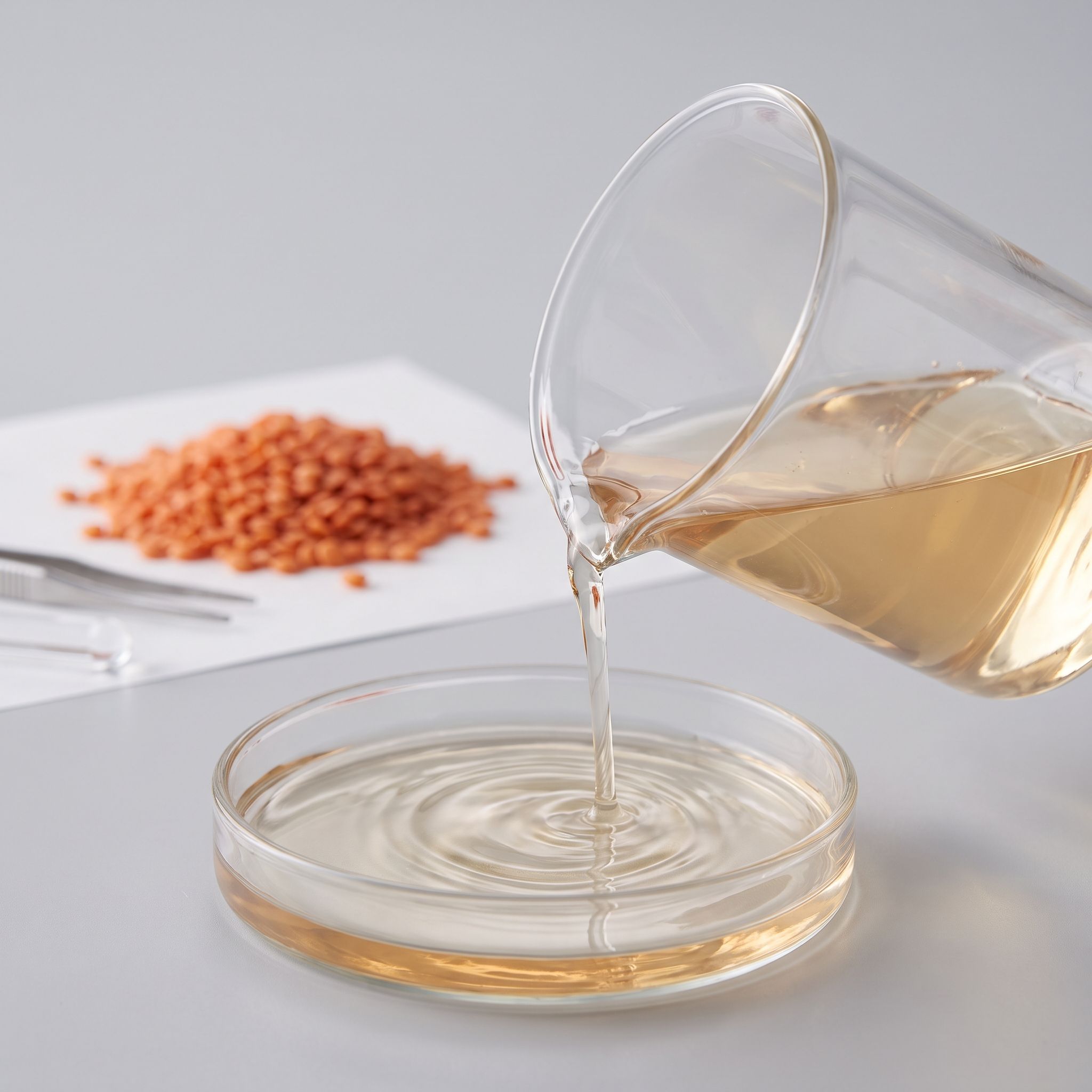 Lens Culinaris Seed Extract - view 2