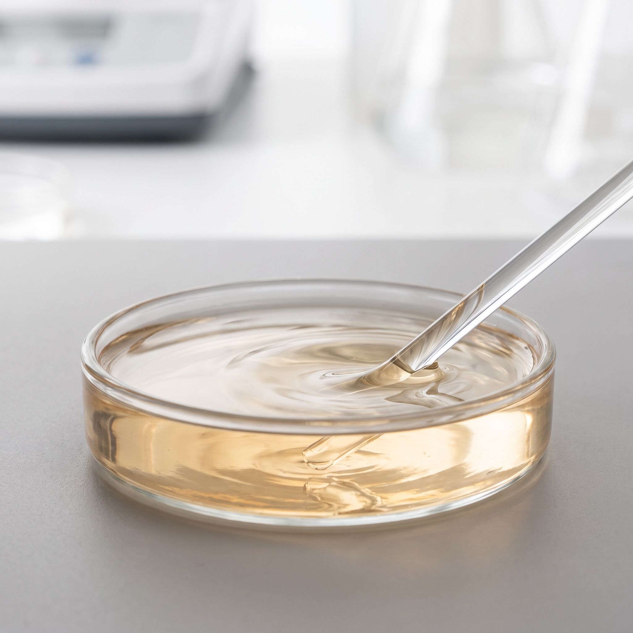 Levisticum Officinale Root Extract - view 2
