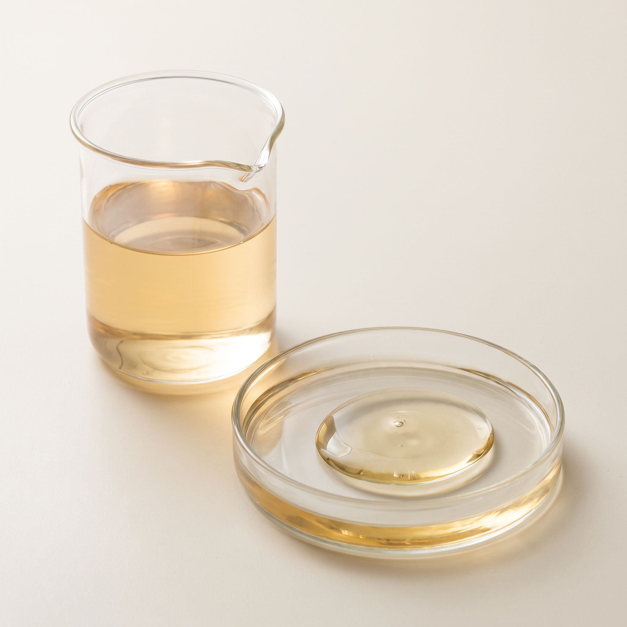 Manihot Esculenta Root Extract - view 2