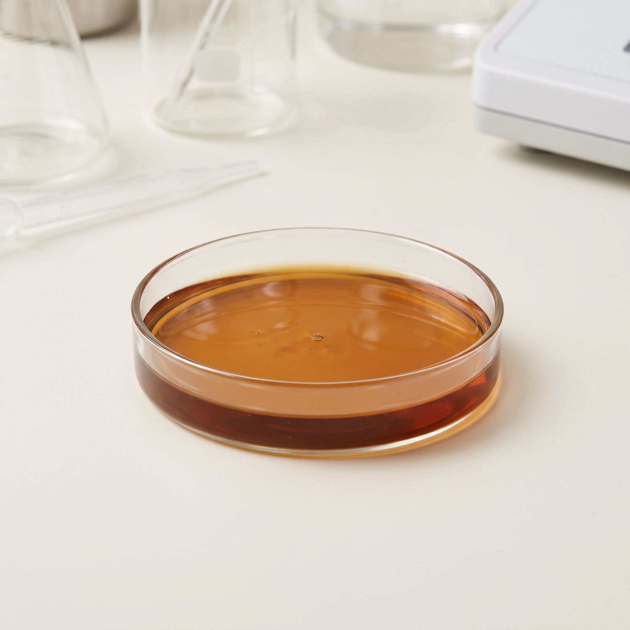 Maytenus Ilicifolia Herb Extract - view 2
