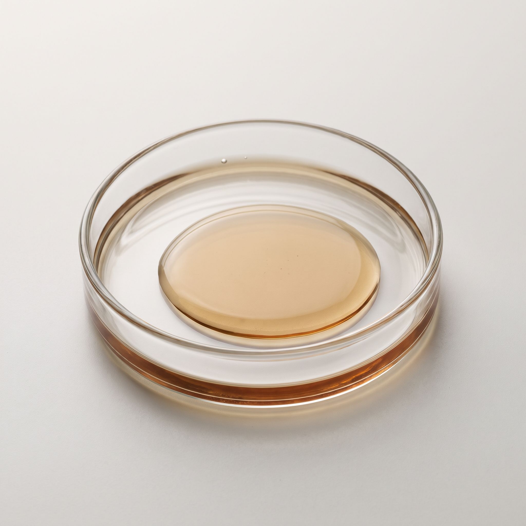 Melilotus Officinalis Leaf Extract - view 2
