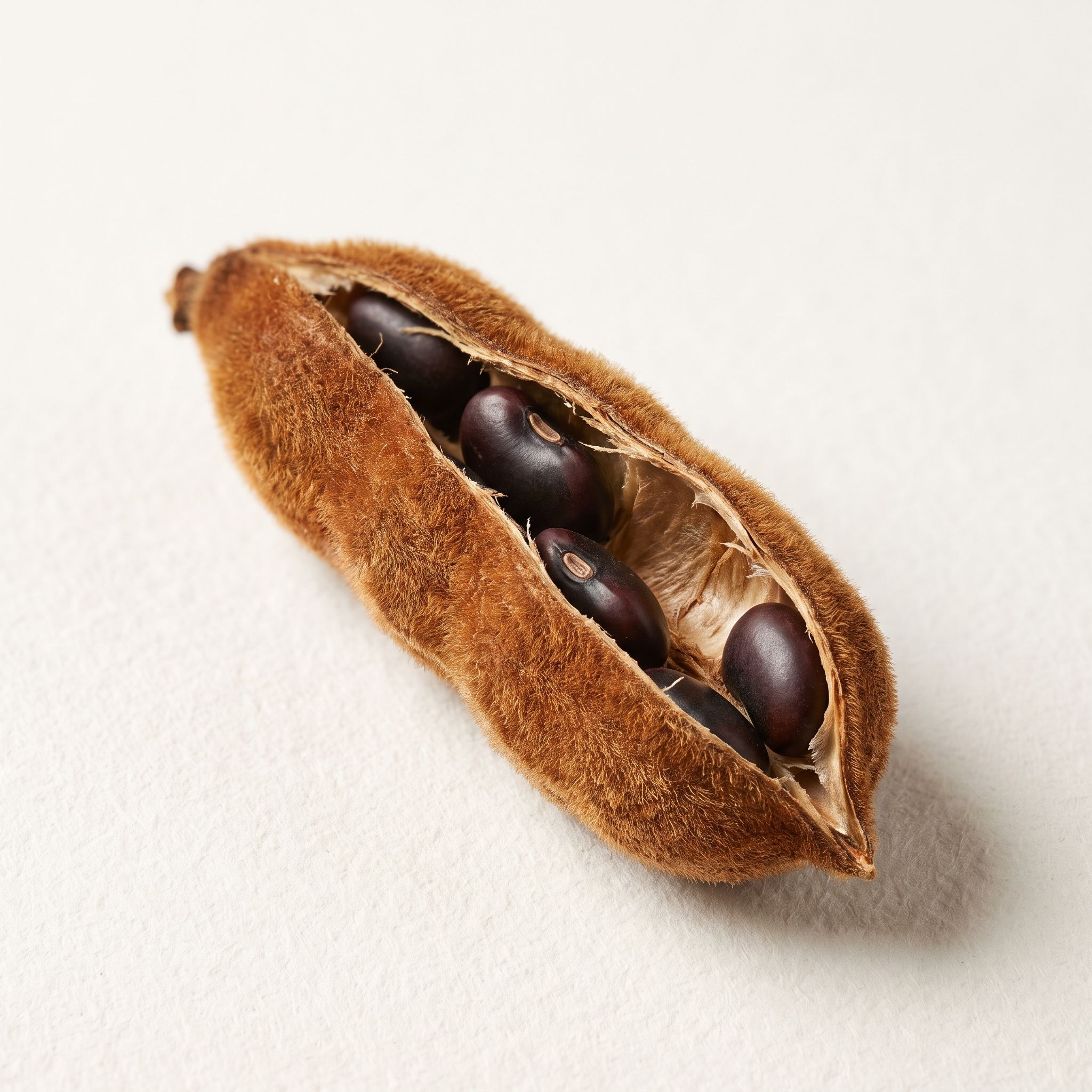 Mucuna Pruriens Seed Extract - view 1