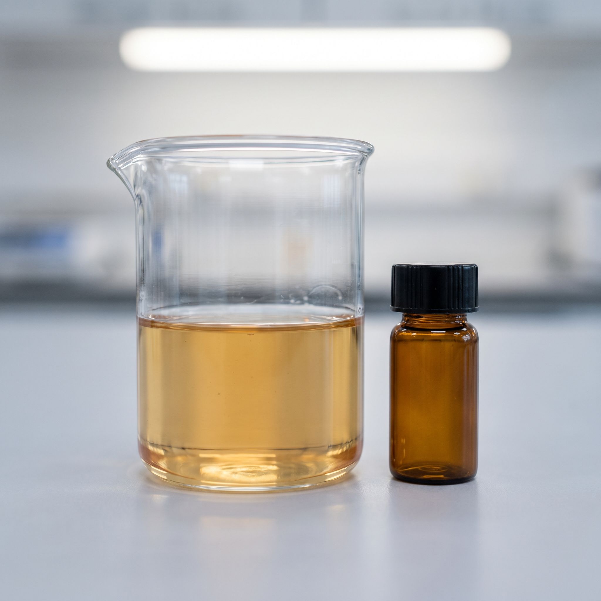 Myristica Fragrans Seed Extract - view 2