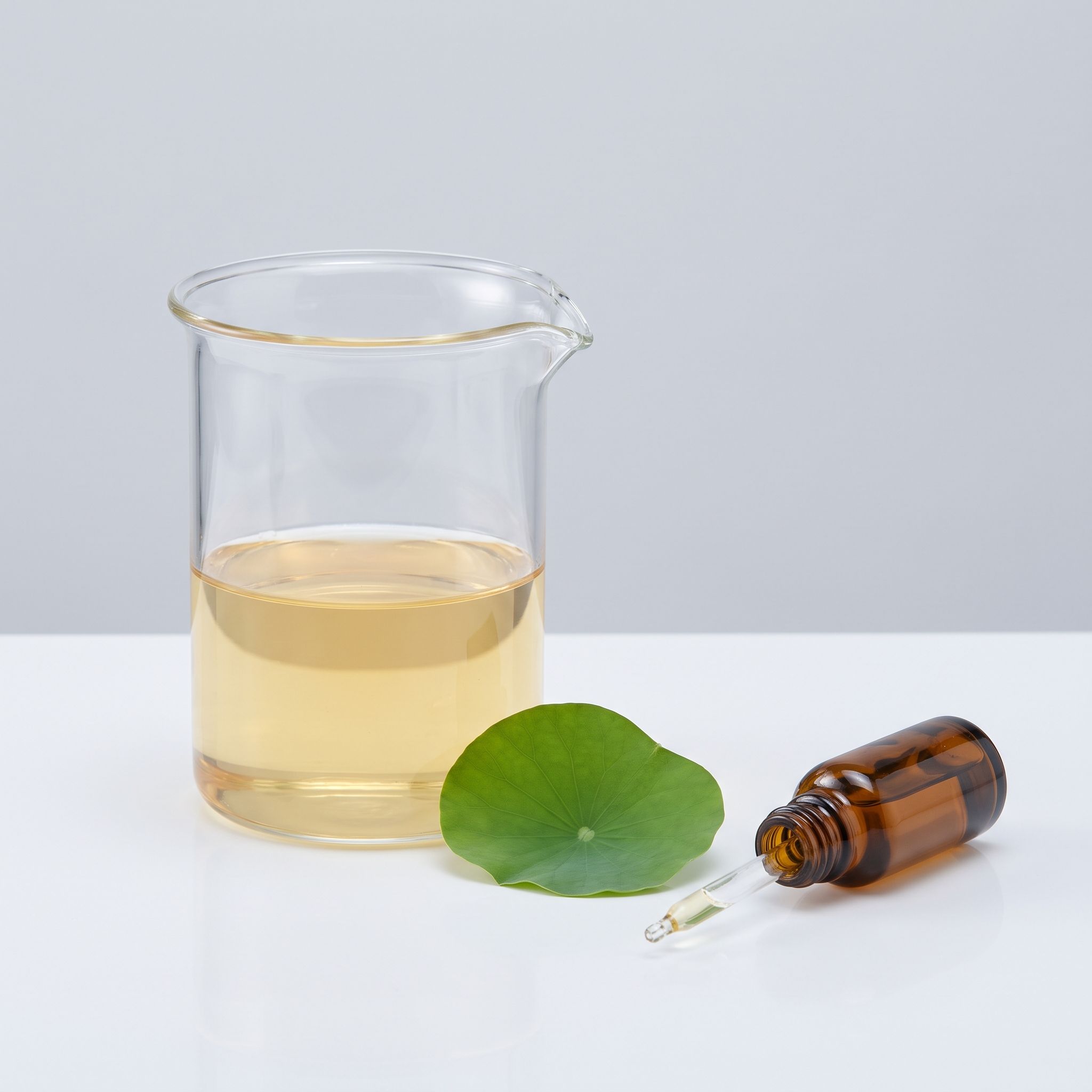 Nelumbo Lutea Leaf Extract - view 2