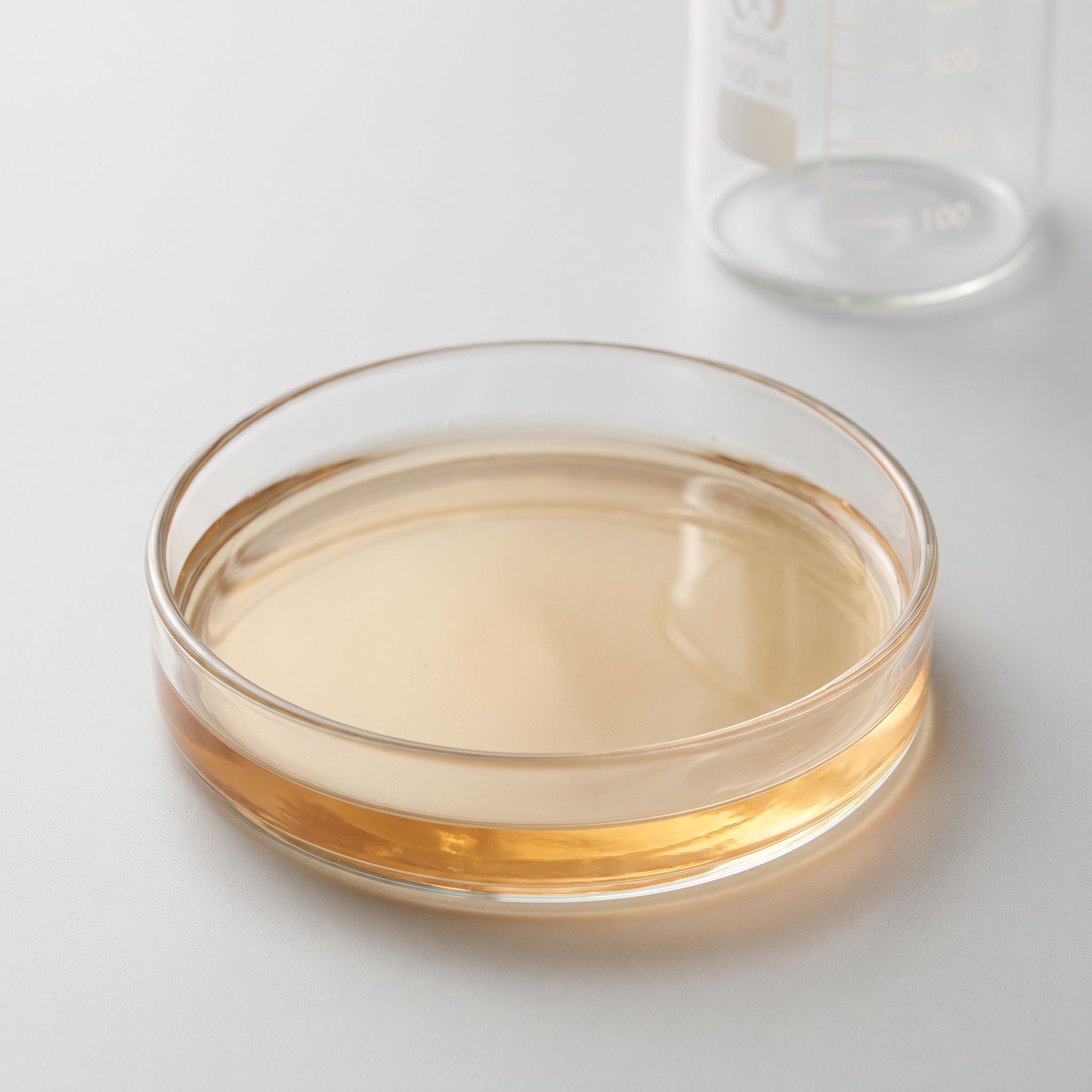 Panax Pseudoginseng Root Extract - view 2