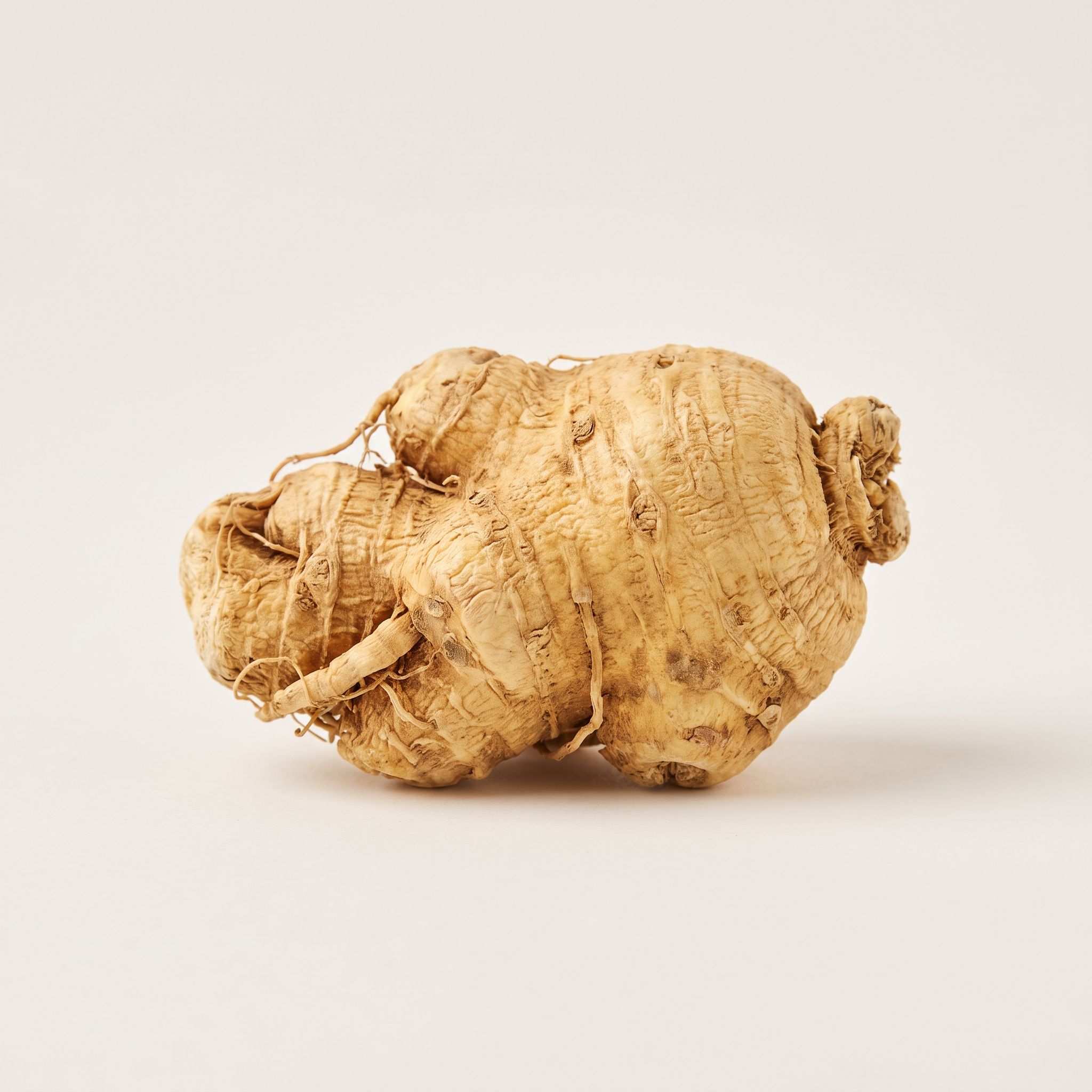 Panax Pseudoginseng Root Extract - view 1