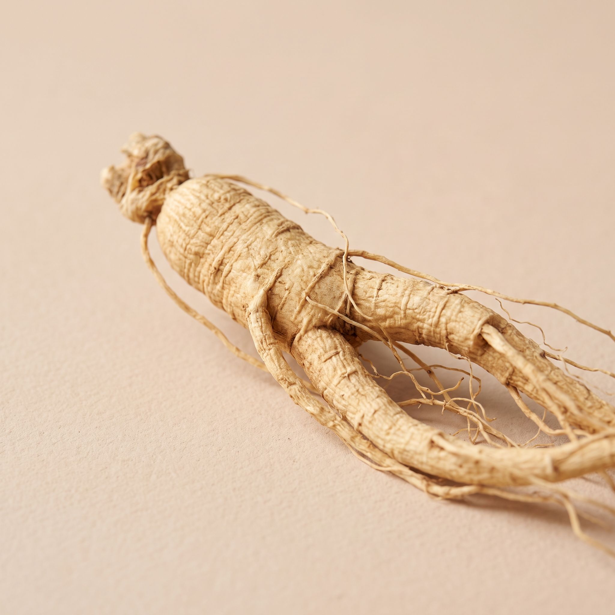 Panax Quinquefolius Root Extract - view 1