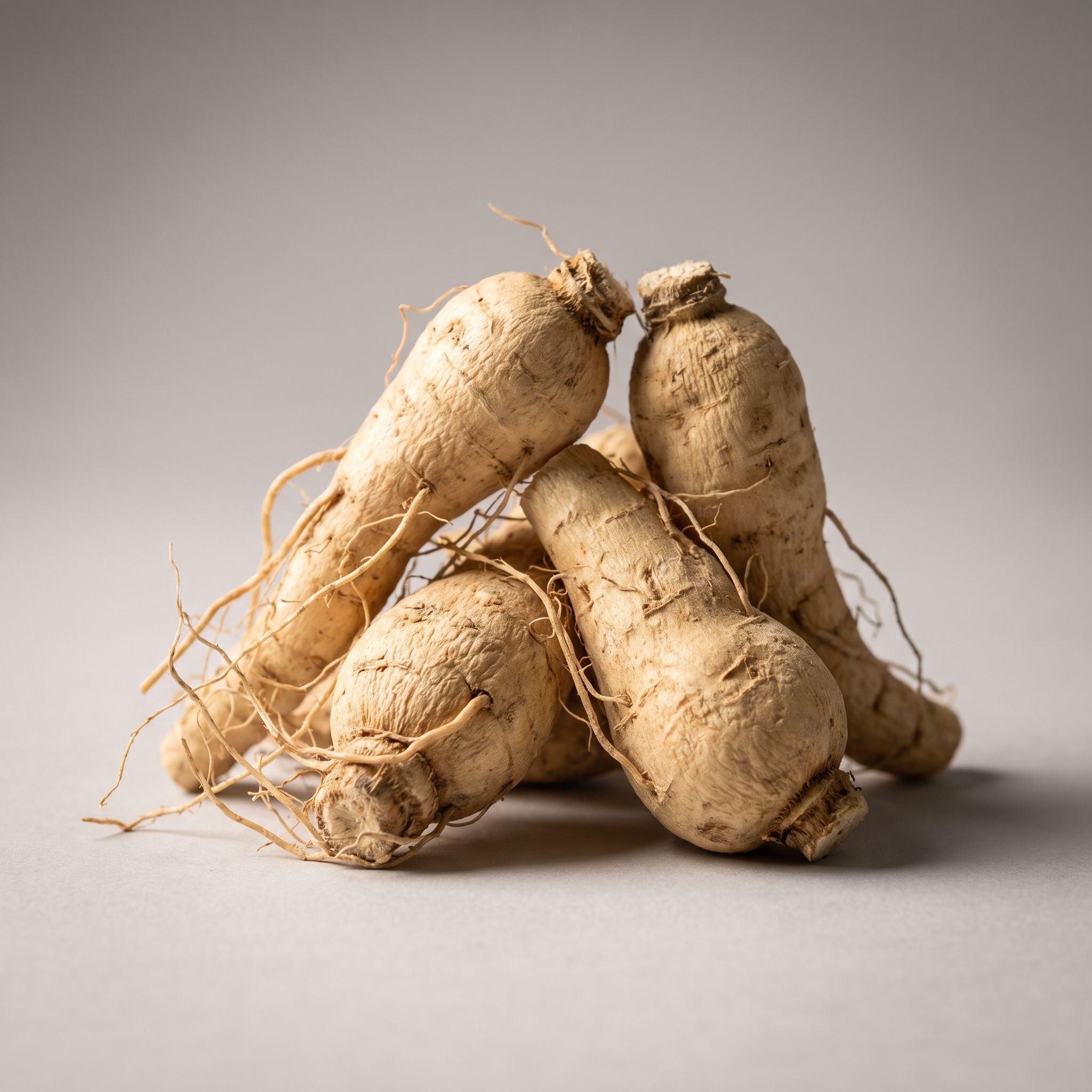Pfaffia Paniculata Root Extract - view 1