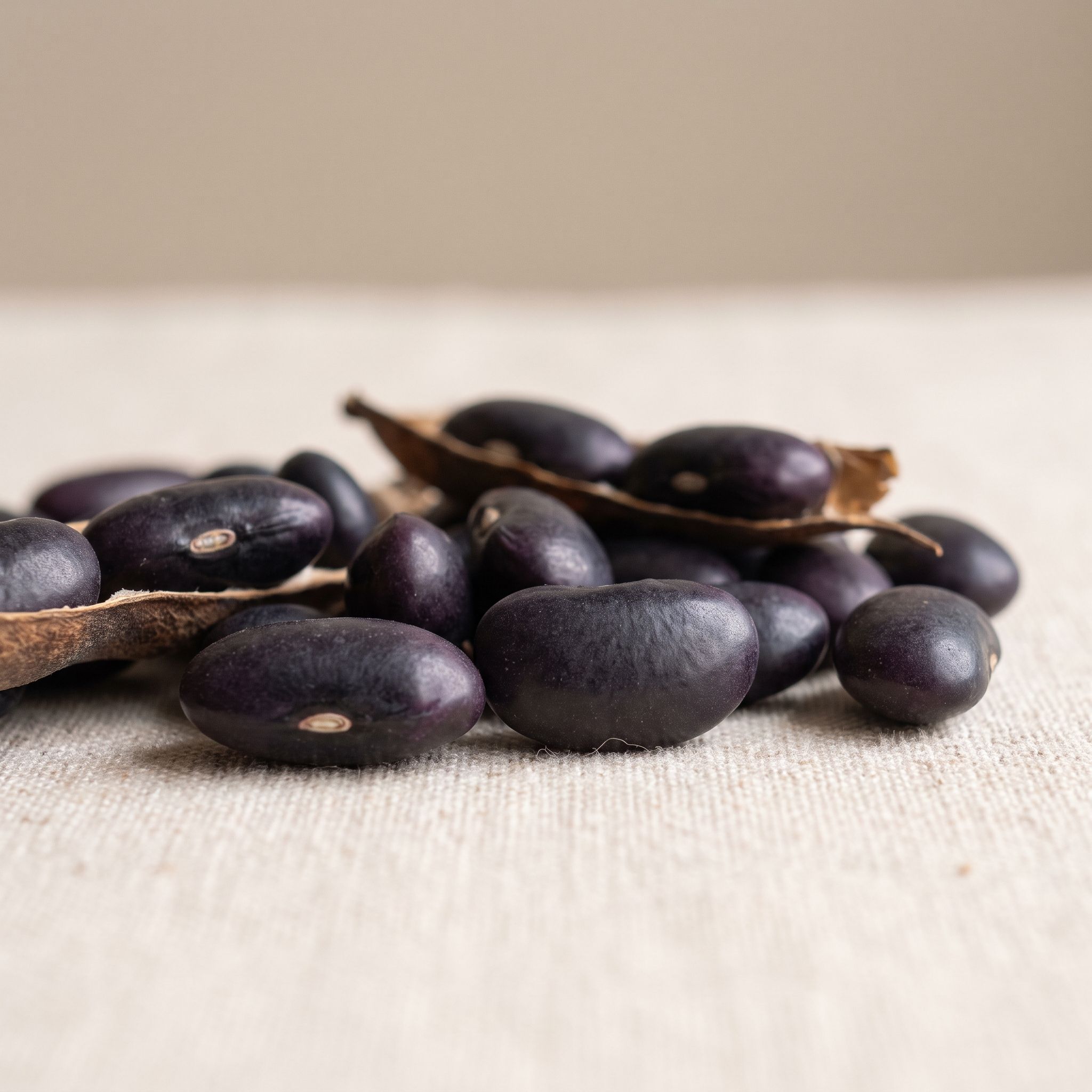 Phaseolus Vulgaris Seed Extract - view 1