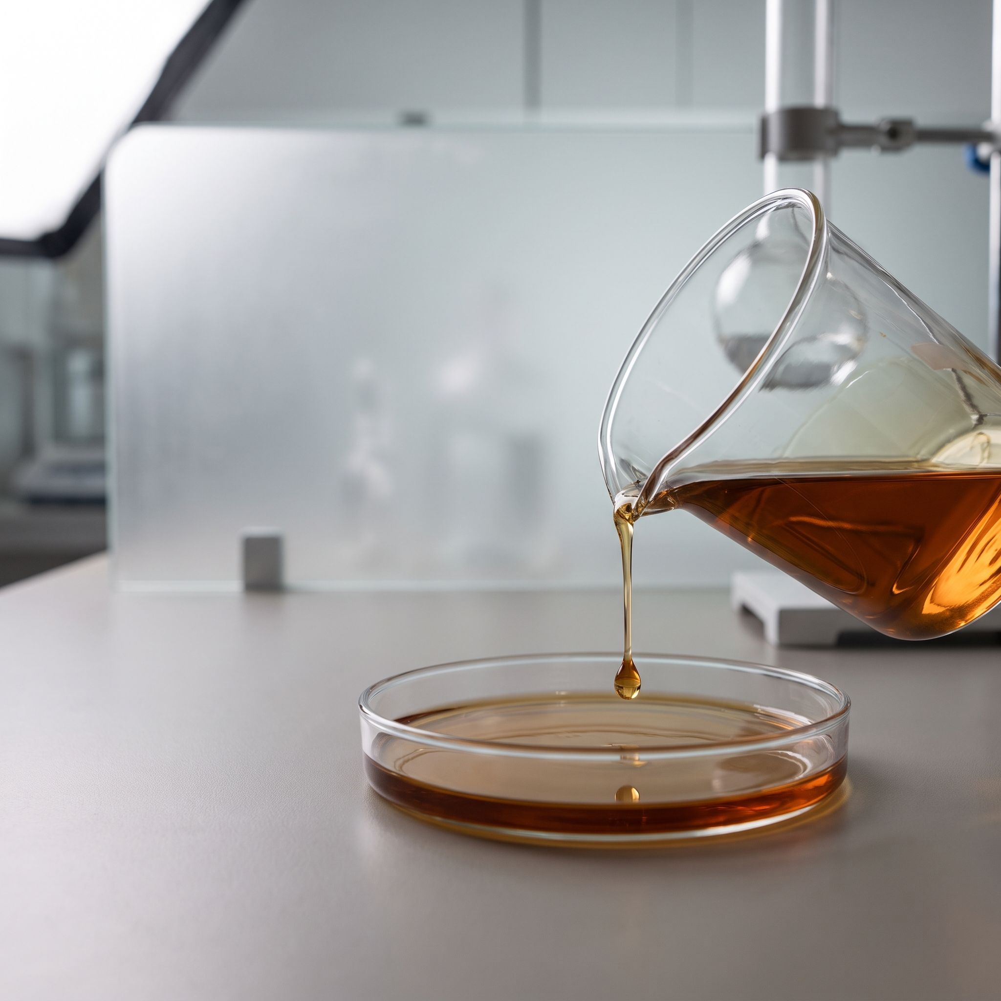 Pinus Strobus Bark Extract - view 2