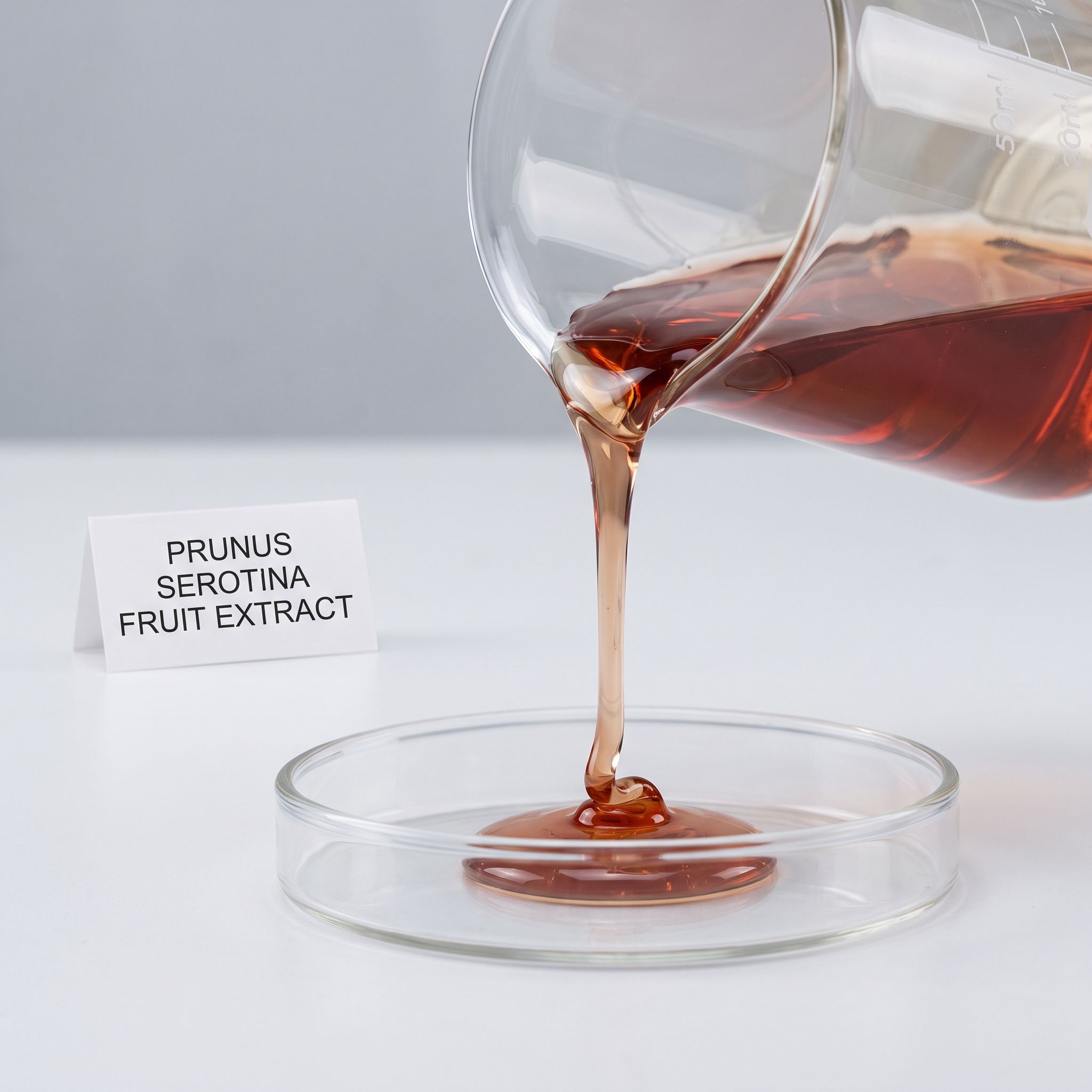 Prunus Serotina Fruit Extract - view 2