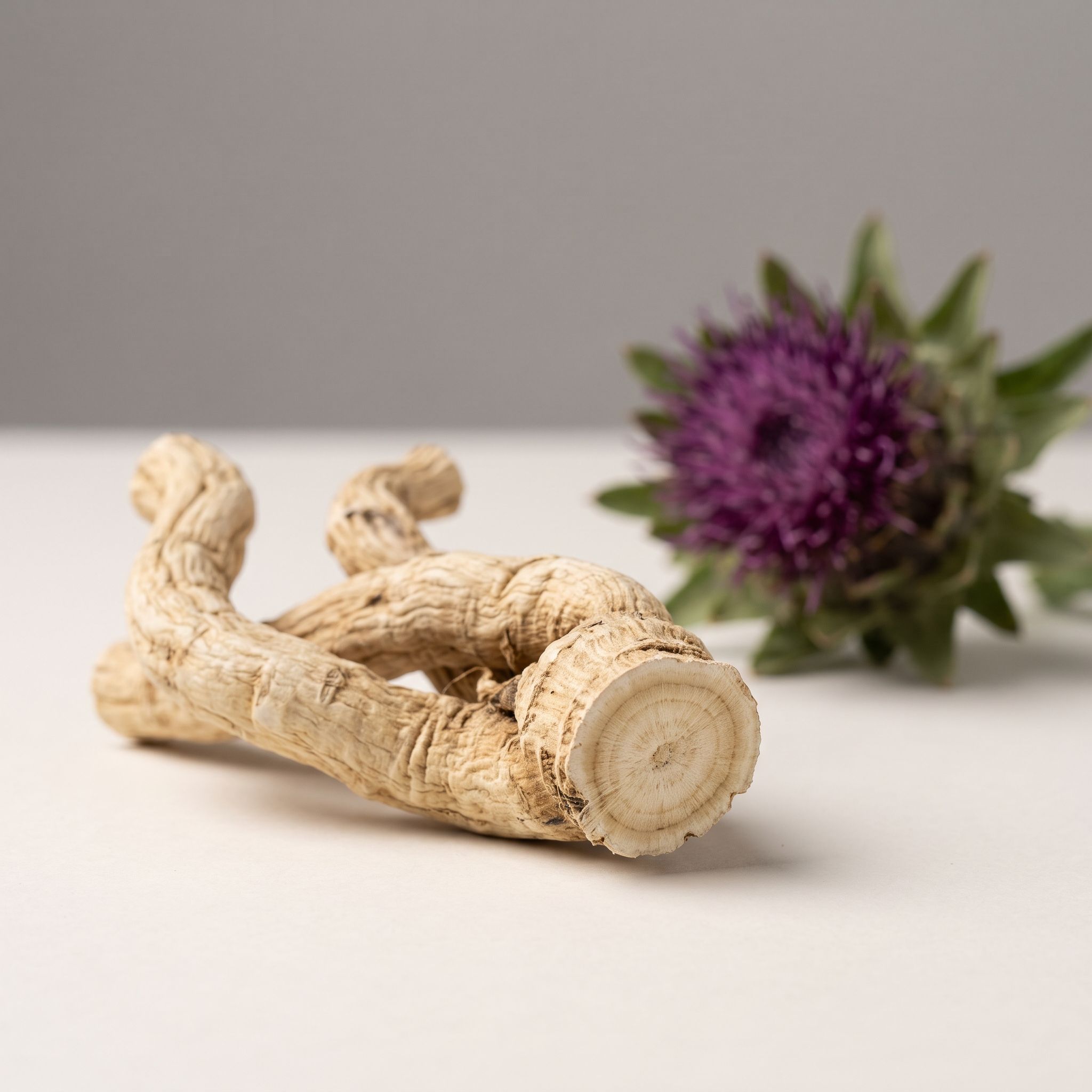 Rhaponticum Carthamoides Root Extract - view 1